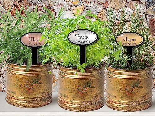 Oval Top 08in Engraved Flexibrass Acrylic Herb Garden Stakes Plant Markers Copper