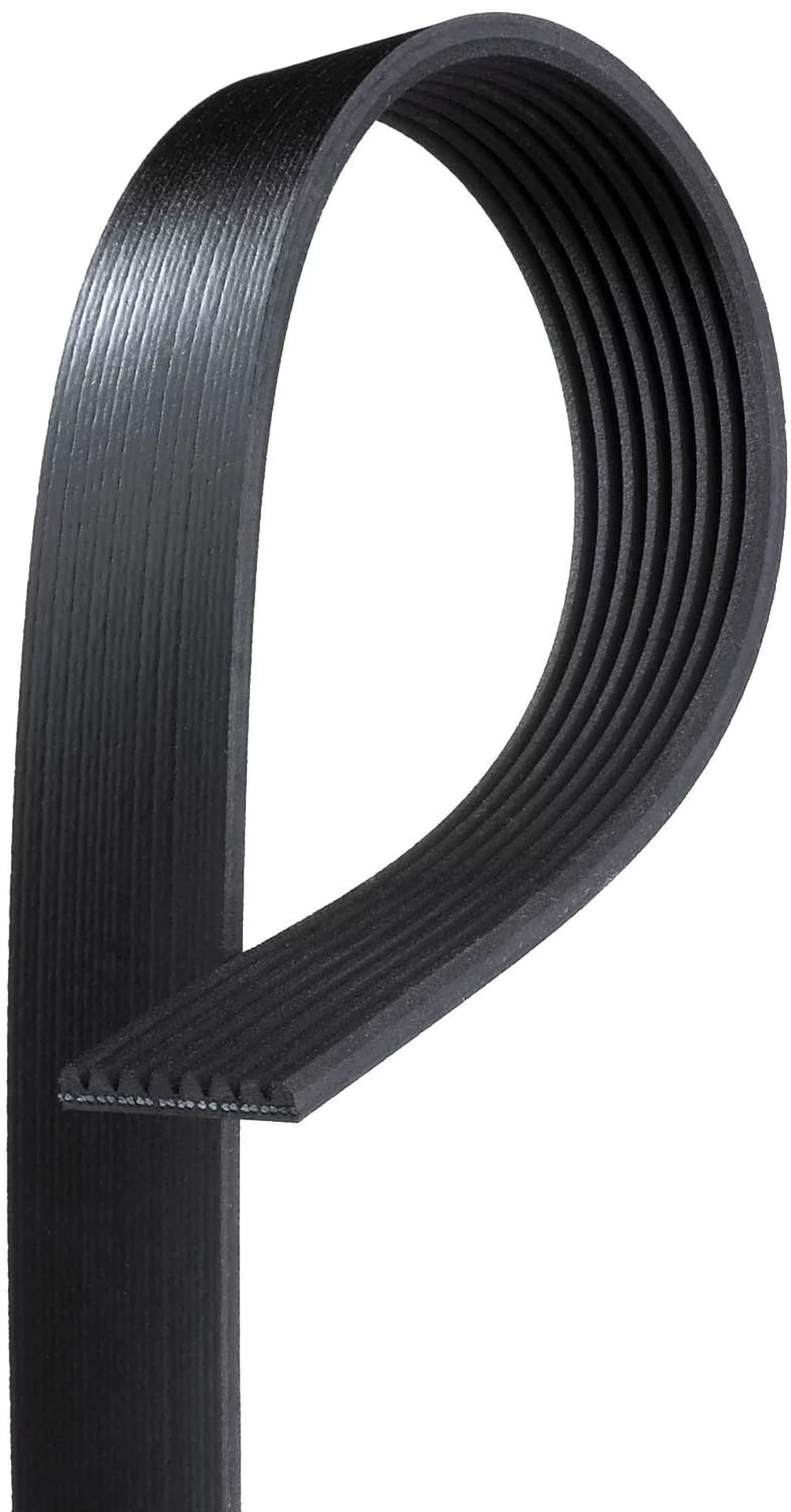 Gates K081325 Serpentine Belt Fits select: 2003-2007 FORD F250, 2003-2007 FORD F350