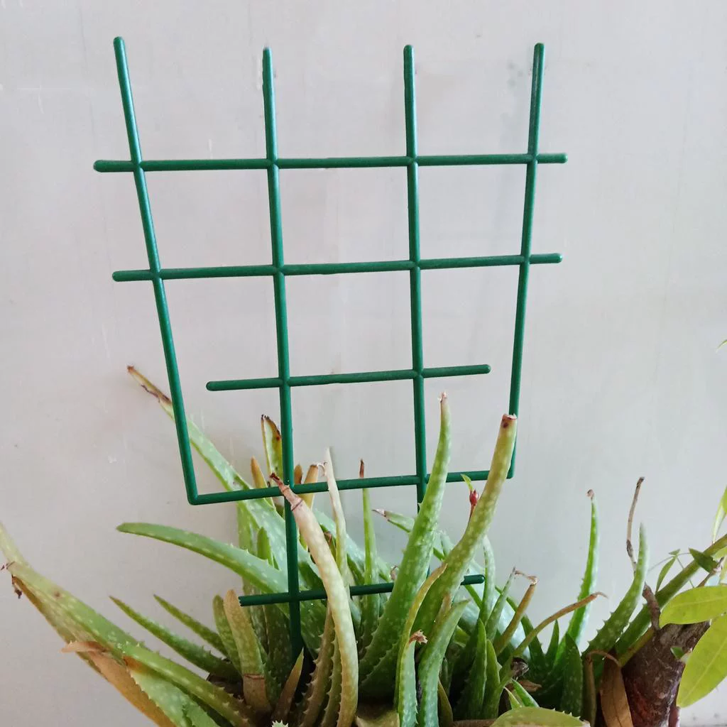 12 Pieces Mini Climbing Plant Trellis DIY Practical 12