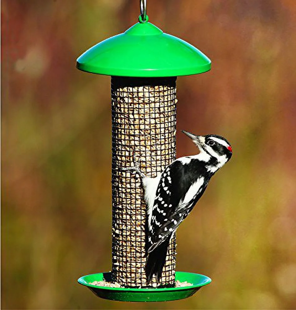 Stokes Select Mini Mesh Screen Bird Feeder with Metal Roof, Green, 1.2 lb Seed Capacity