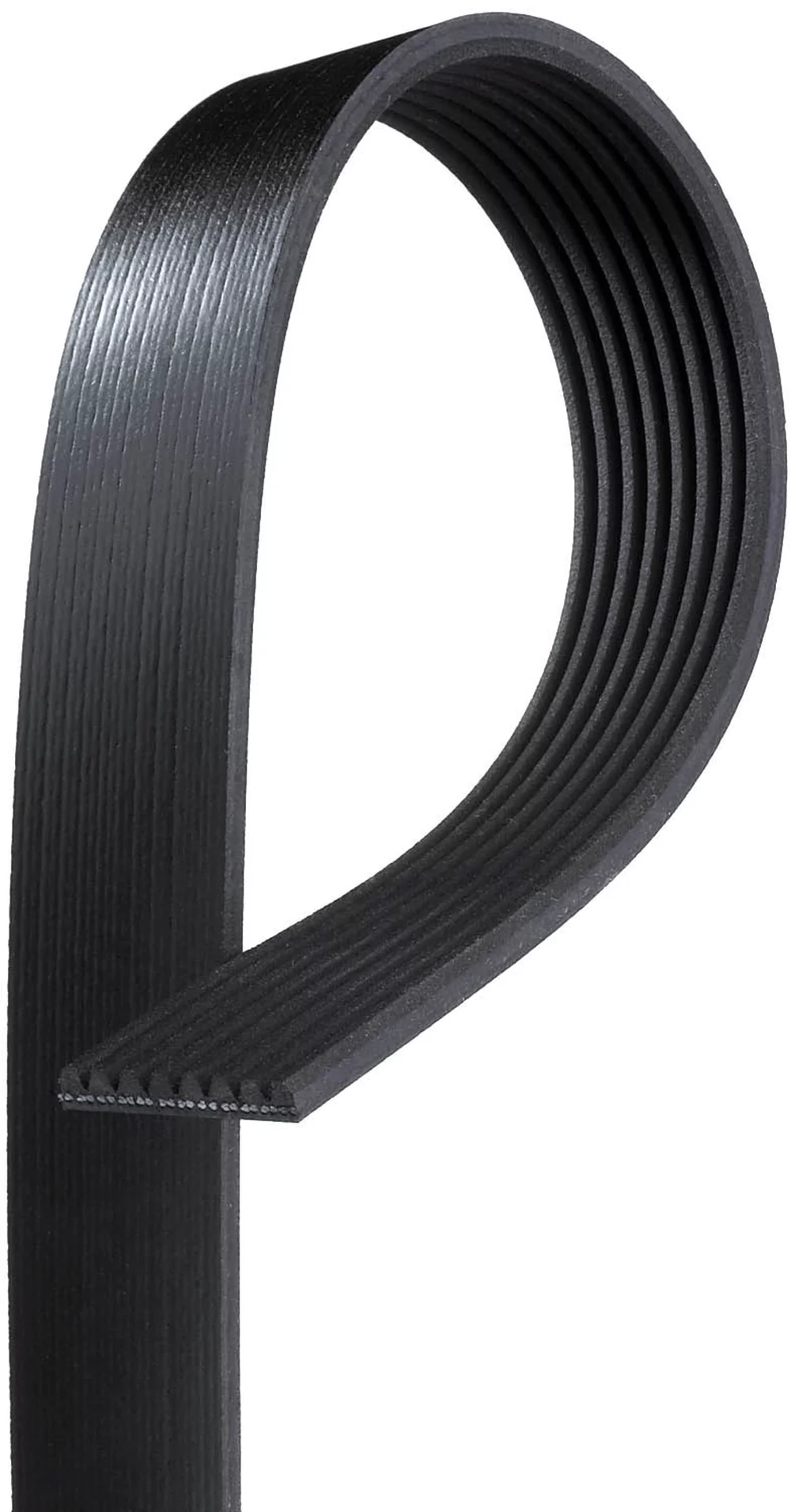Gates K080580 Serpentine Belt Fits select: 2011-2018 BMW X5, 2011-2015 BMW 535