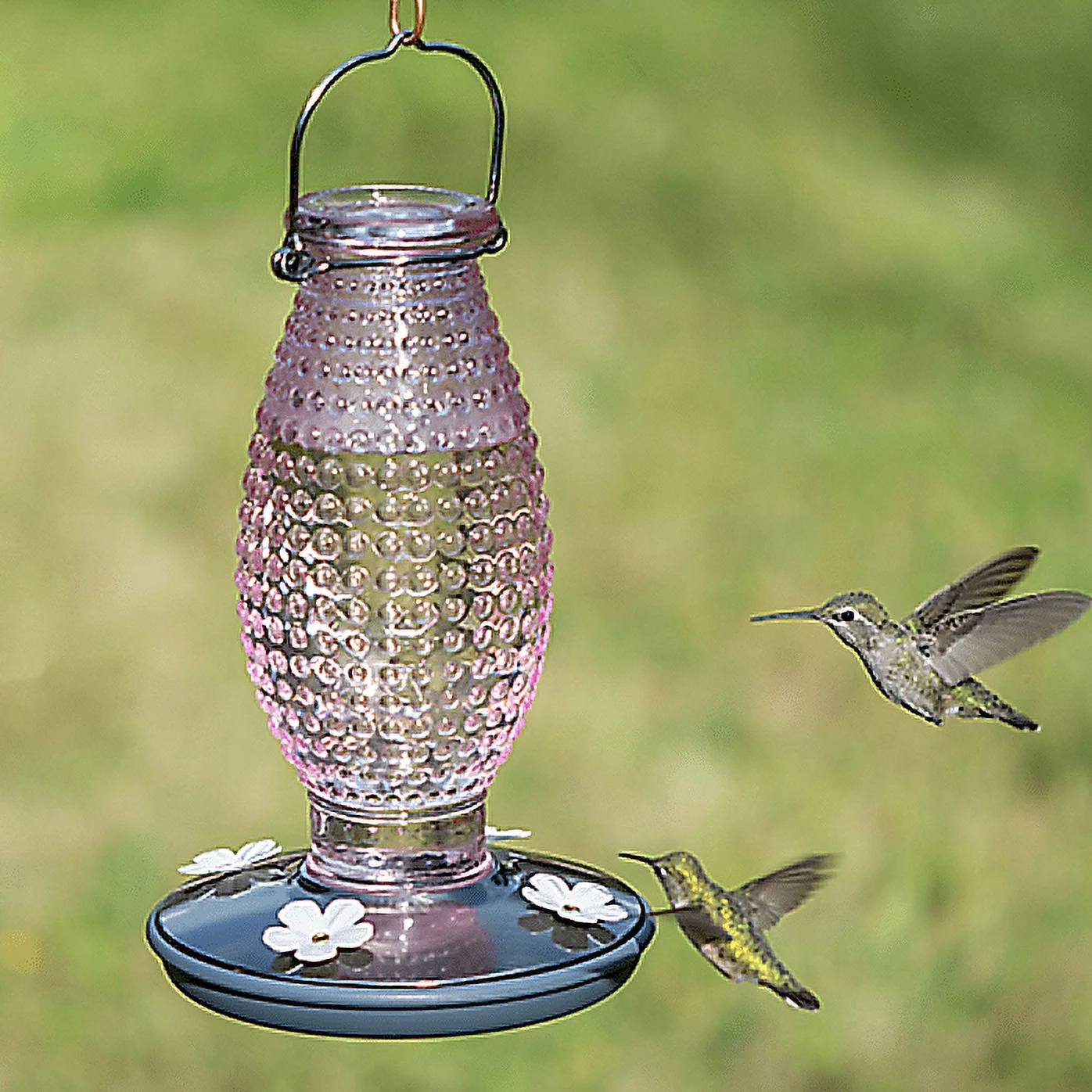 Perky-Pet 8131-2 Cranberry Hobnail Vintage Hummingbird Feeder, Pink, Each