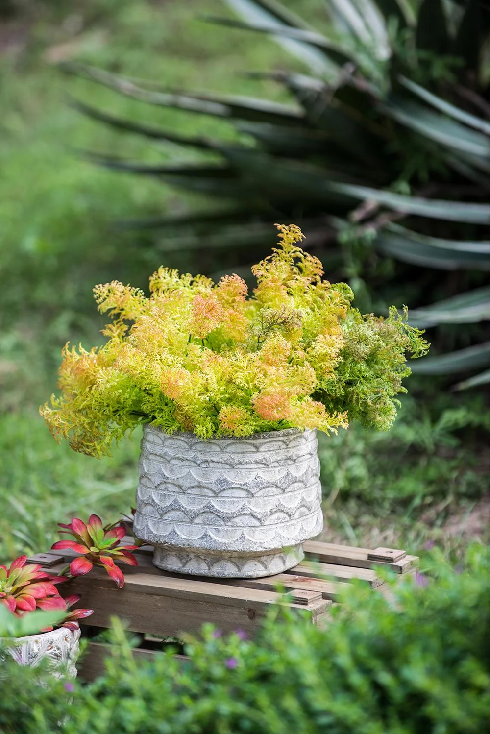 A&B Home Gray Terracotta Planter with Scalloped Pattern Texture 7.9