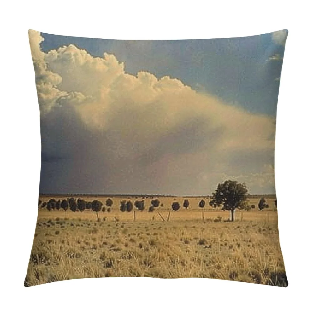 Akjvoe Decorative Square Throw Pillow Cover Windmill Field Agriculture Highway West Travel Landscape Along Route Nature Storm Parks Outdoor Linen Soft Cushion Case for Bed Sofa Living Room White