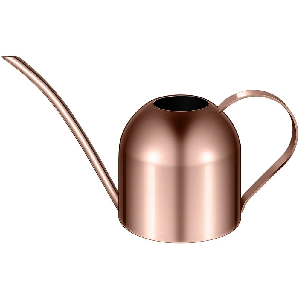 Yardwe 1000ml Stainless Steel Watering Can Indoor Plants Succulents Long Spout Watering Pot