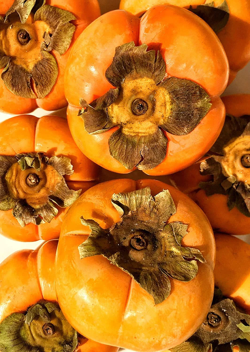 Fuyu Persimmons (5 LB)
