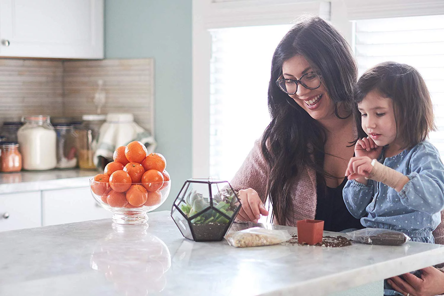 Home Botanicals Blue/Green Collection Succulent (Collection of 128)