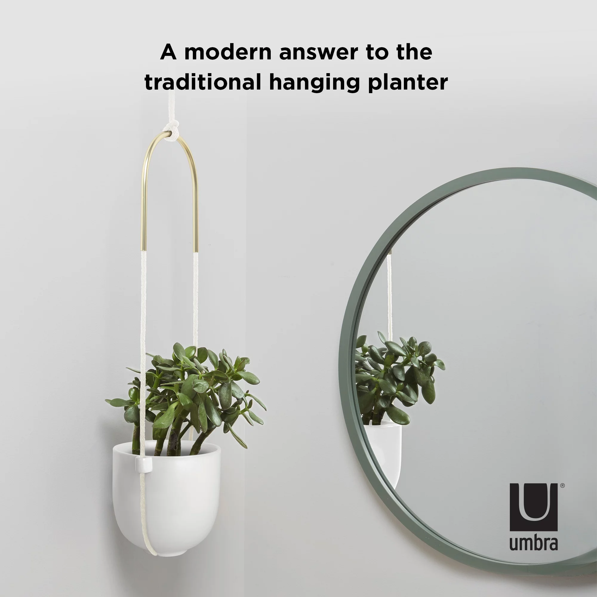Umbra Bolo Ceramic Hanging Wall Planter White