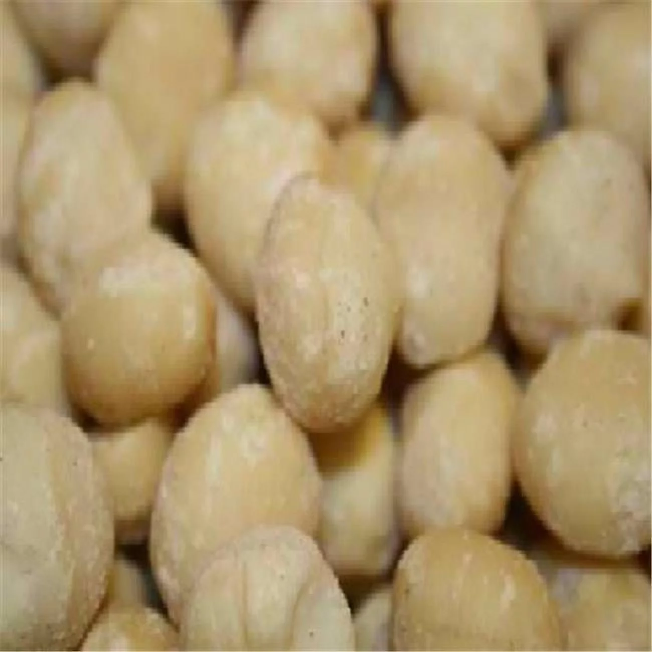 Raw Macadamia Malawi - 1x5LB