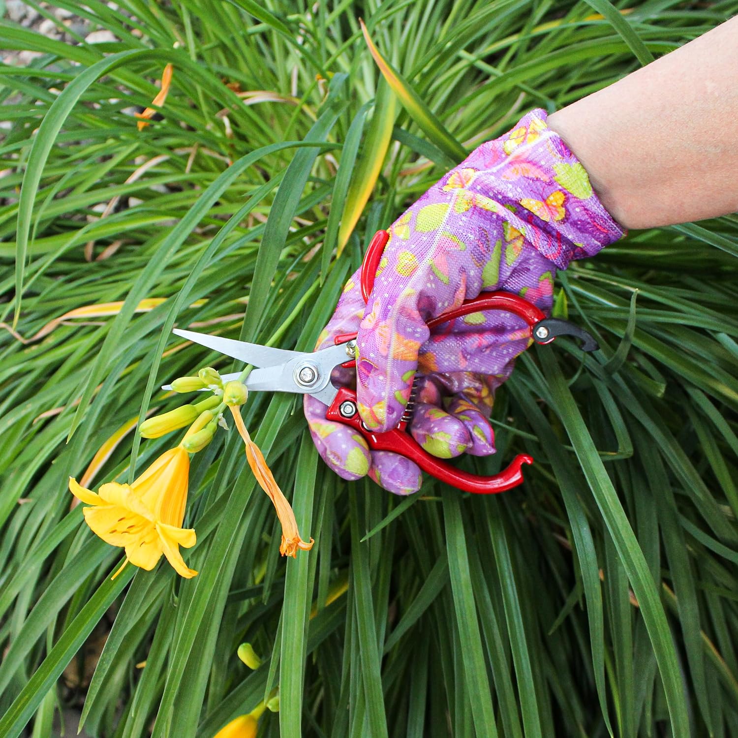 Garden Pruning Shears - 2pc Straight and Curved Blade Gardening Hand Tools with Red Ergonomic Grip Handles