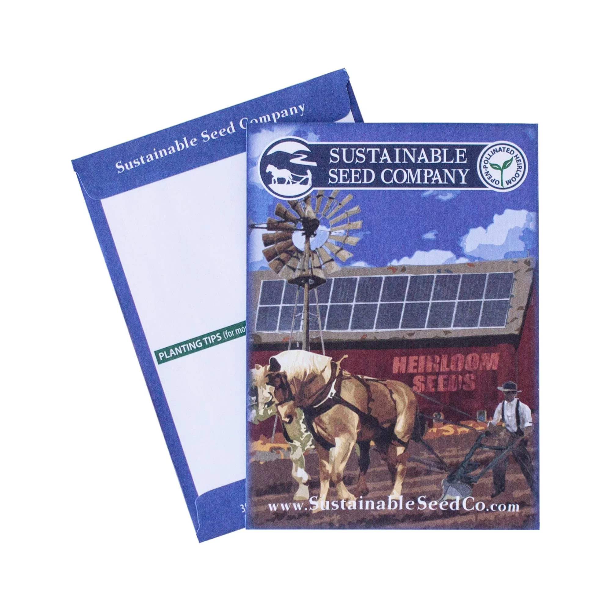 All American Parsnip Seeds - 3 g ~500 Seeds - Non-GMO, Heirloom Vegetable Gardening Seeds - Open Pollinated