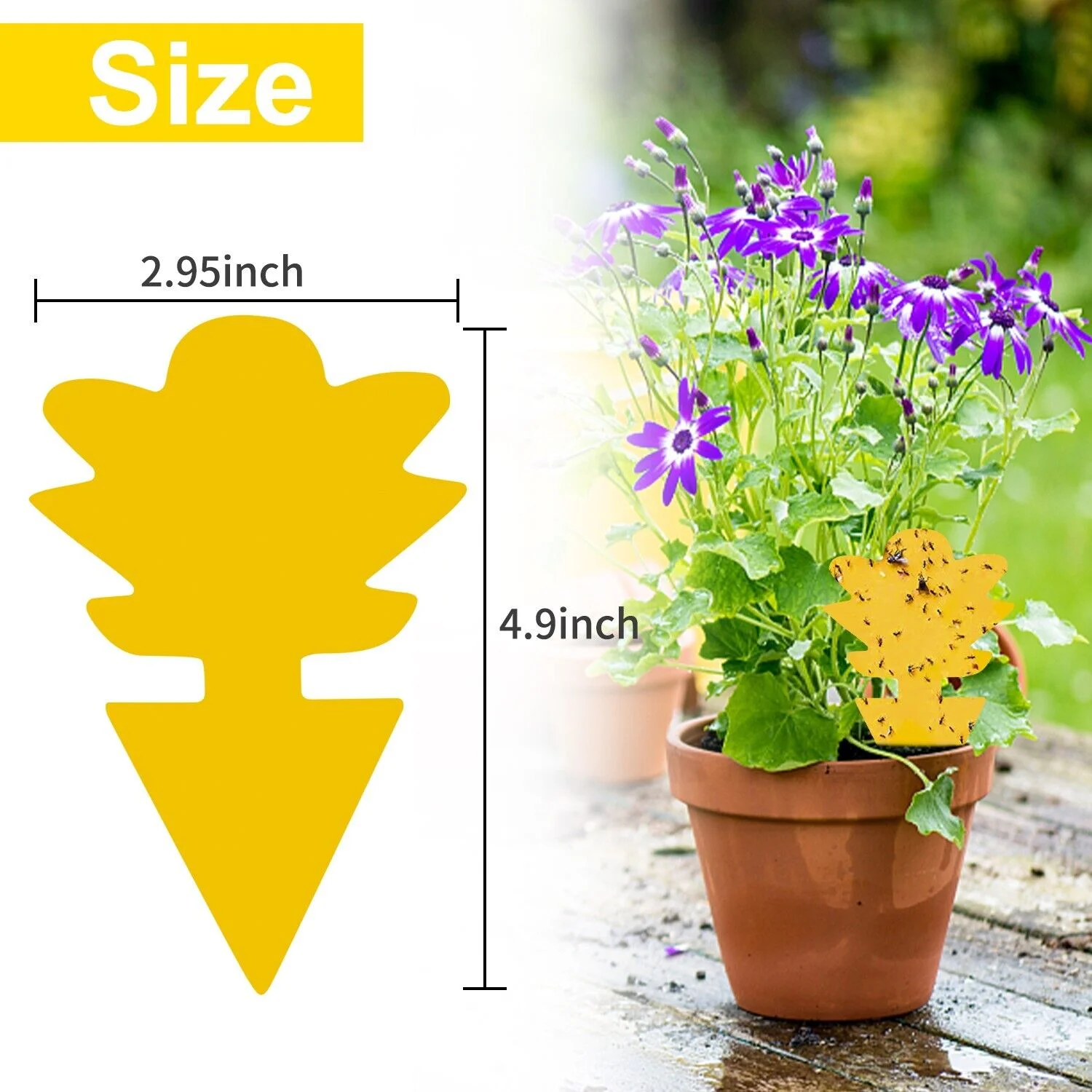 100x Garden Nursery Plastic Pots Flower Plant Container Seed With Label＆Fly Trap