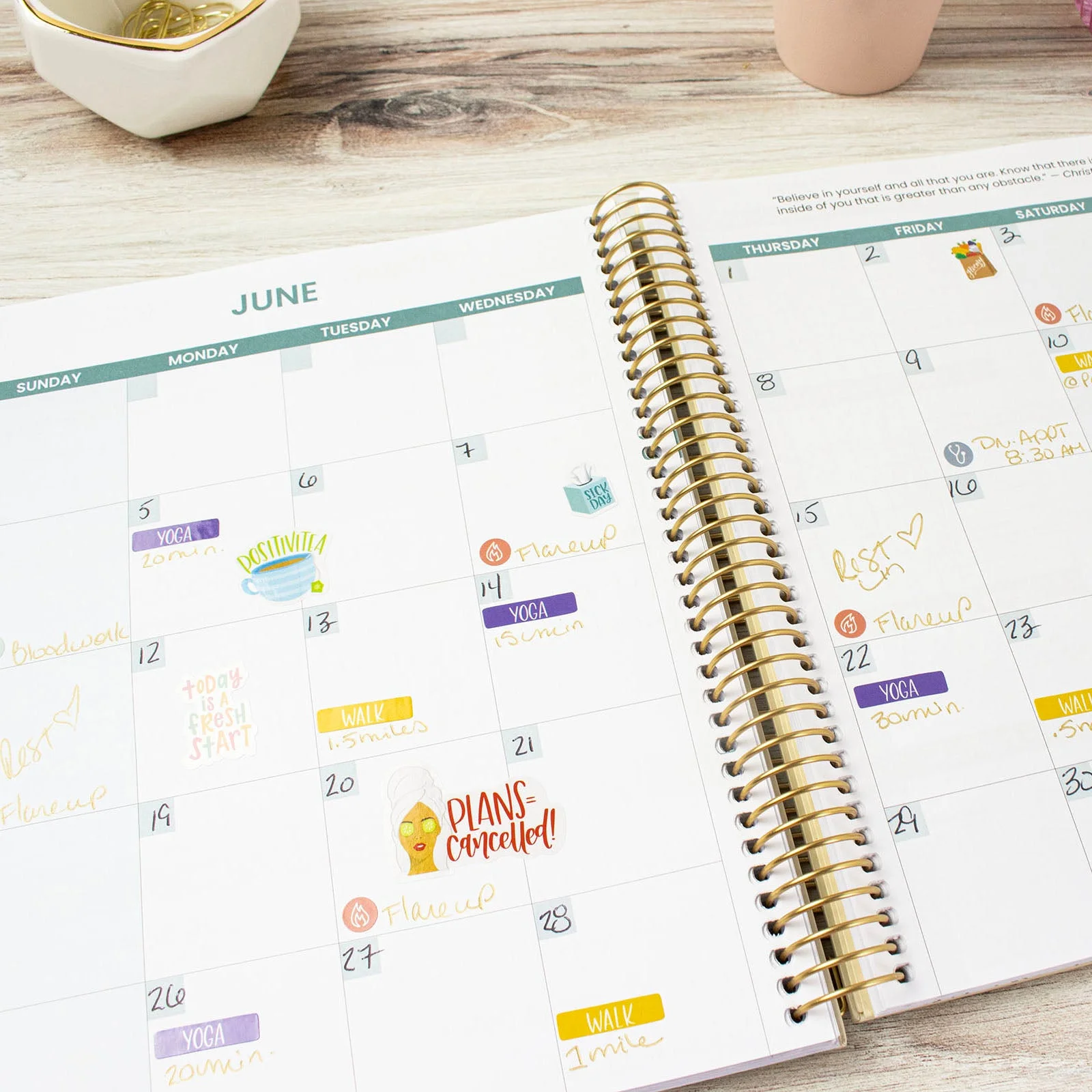 bloom daily planners Chronic Illness Planner, You Are Stronger Than You Think