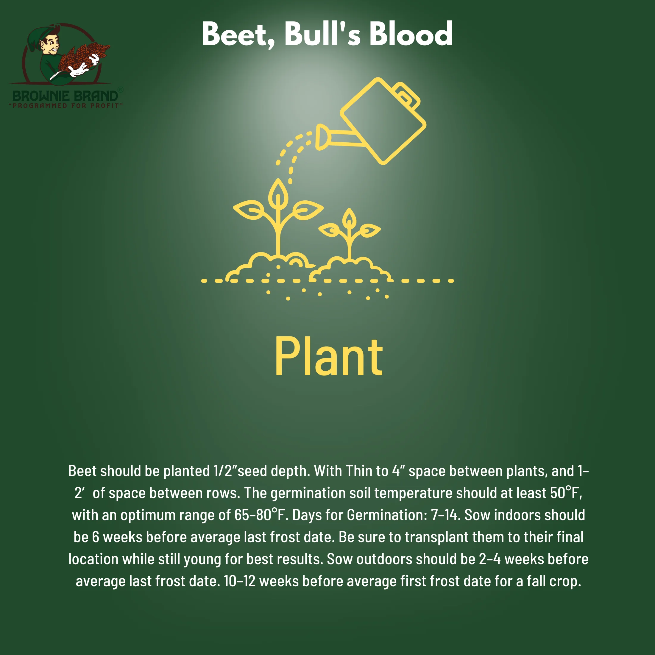 Browning Seed Beet Bull's Blood, Packet
