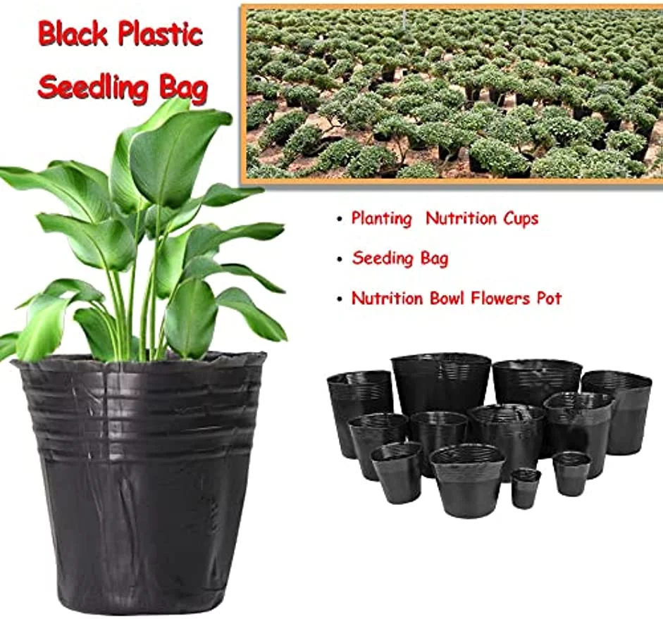 6 Inch Plastic Plants Nursery Pot/Pots Seedlings Flower Plant Container Seed Starting Pots, 60 Pcs