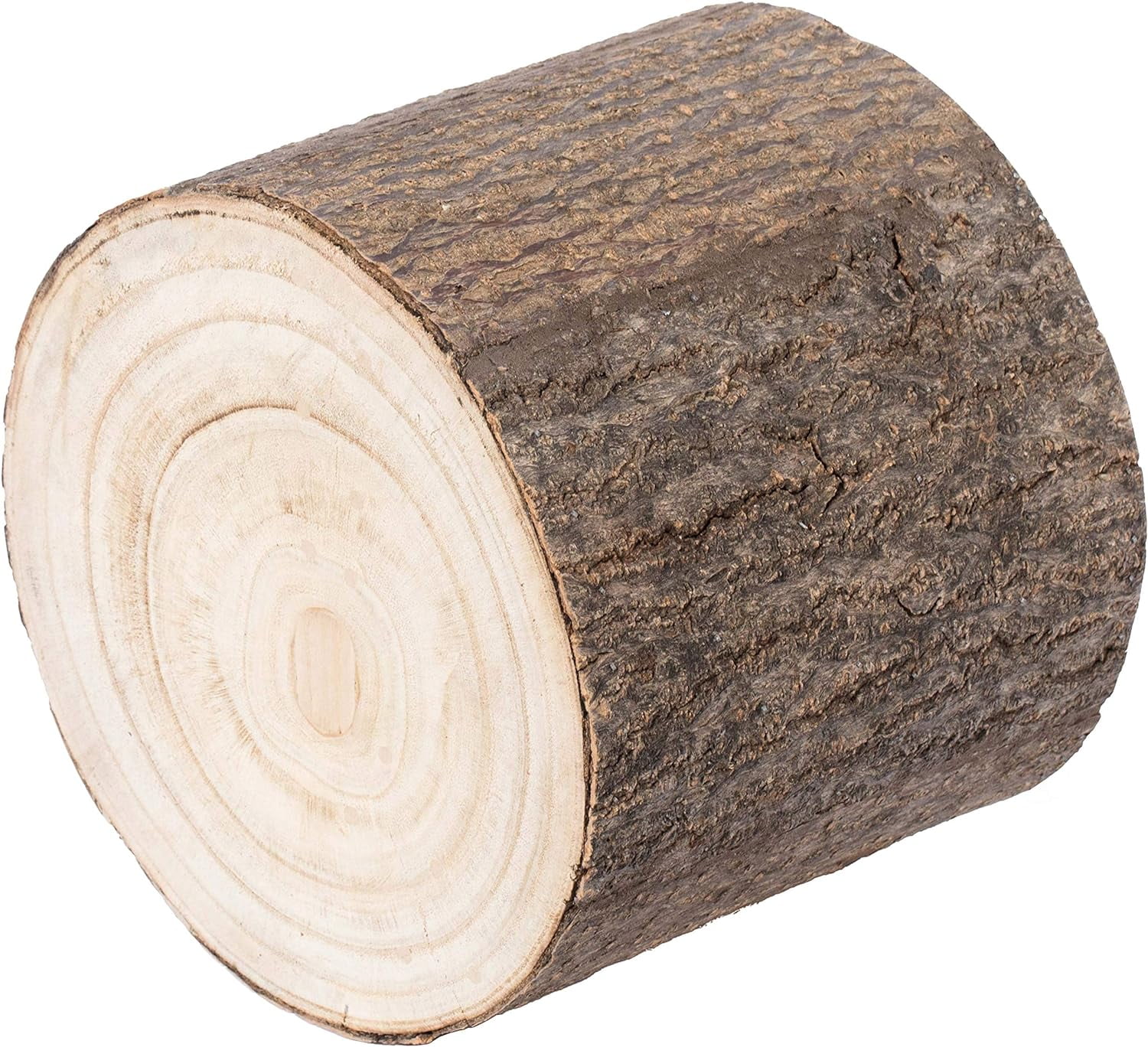 Wooden Stump Tree Branch With Succulent Planter Pot Flower Shelf