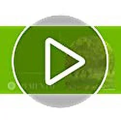 Tea Tree Seeds for Planting - 6 Seeds of Camellia Sinensis Herb Seeds - Made in USA, Ships from Iowa. Tea Tree