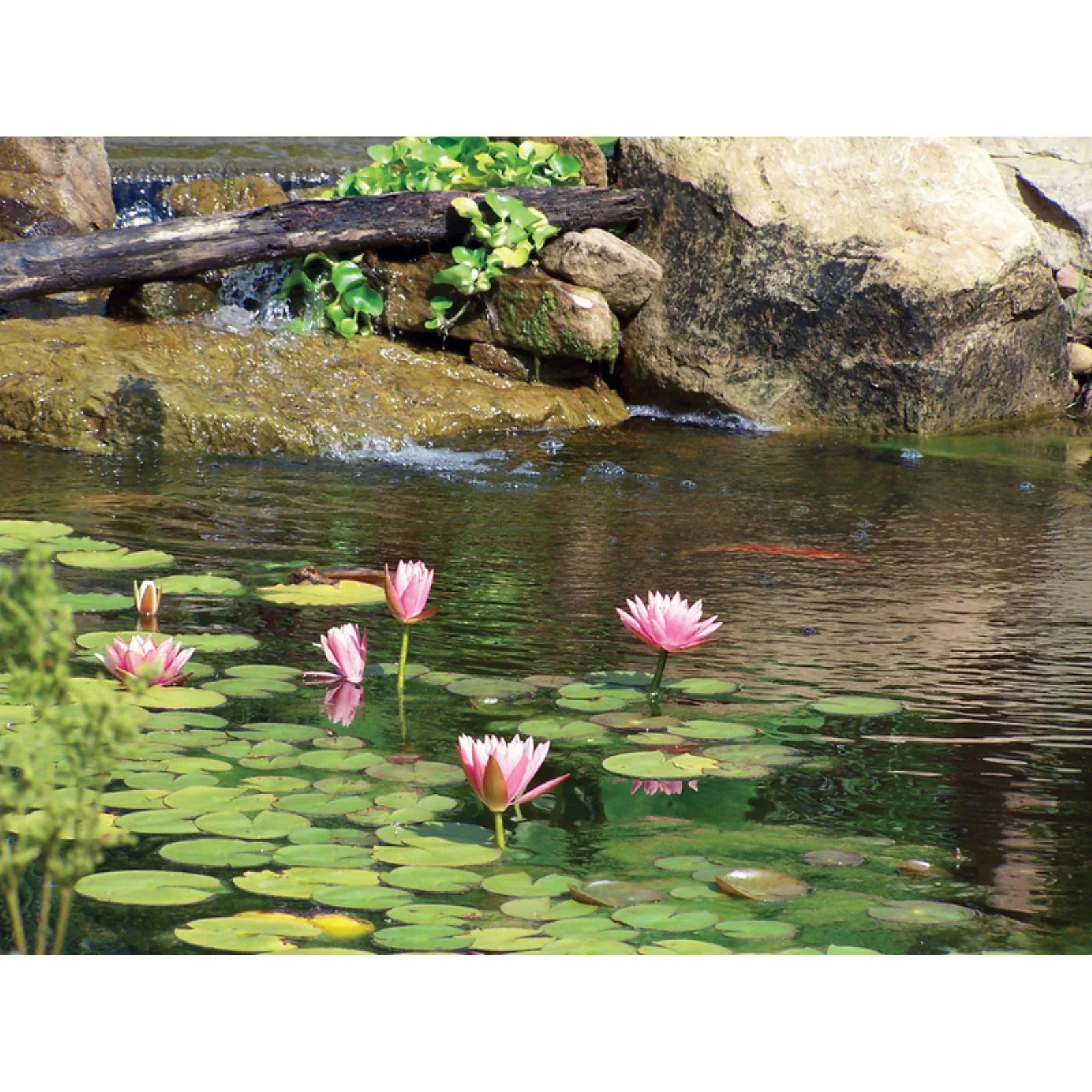 Aquascape UltraKlear 1000 UV Clarifier / Sterilizer