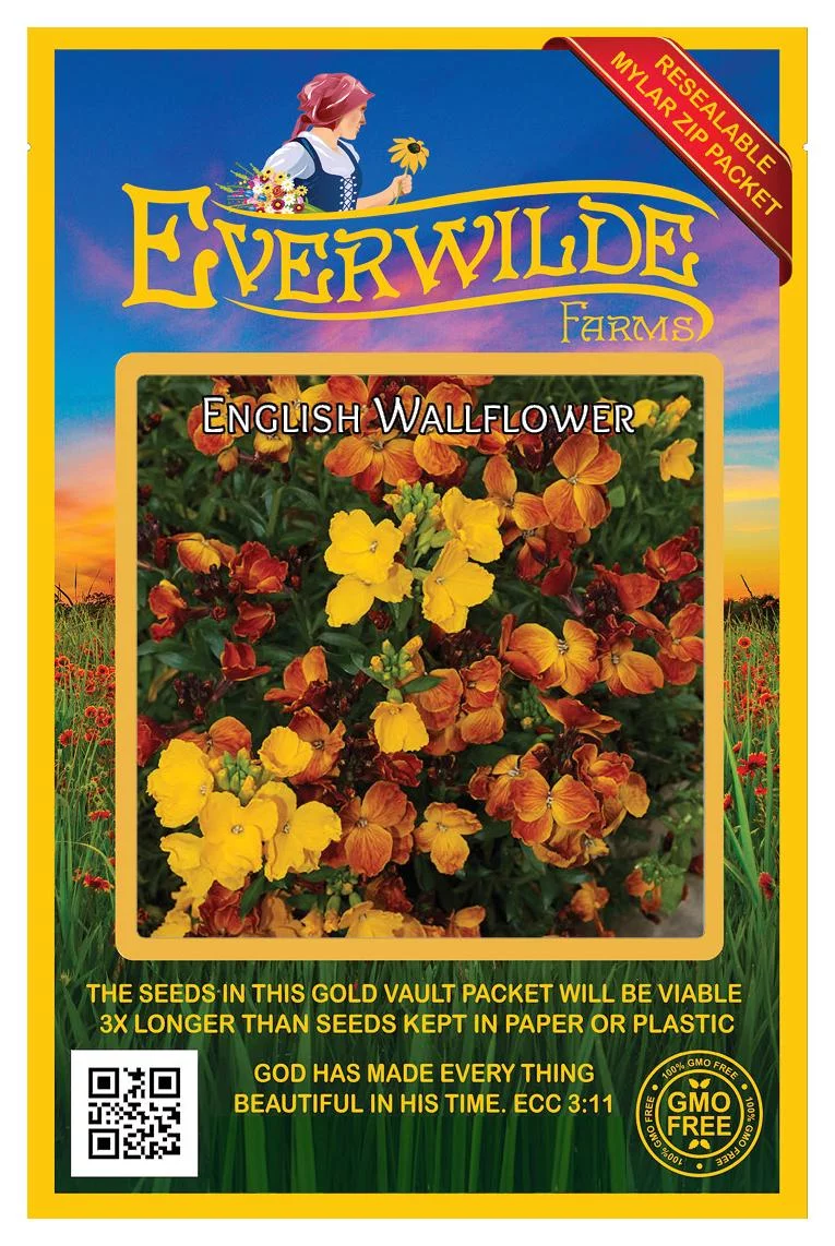 Everwilde Farms - 1000 English Wallflower Garden Flower Seeds - Gold Vault Jumbo Bulk Seed Packet