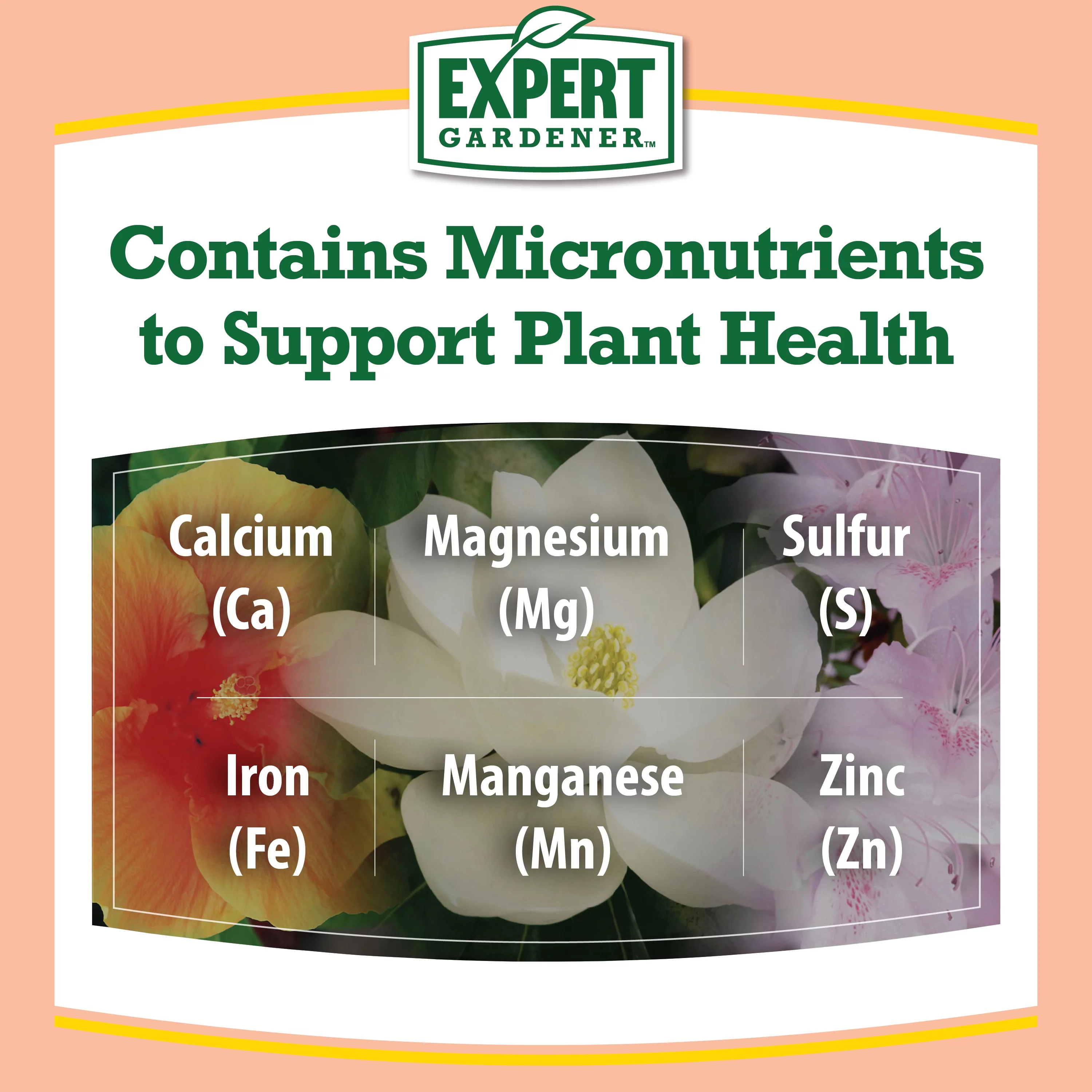 Expert Gardener Azalea, Camellia & Rhododendron Plant Food Fertilizer 10-8-8, 4 lb.