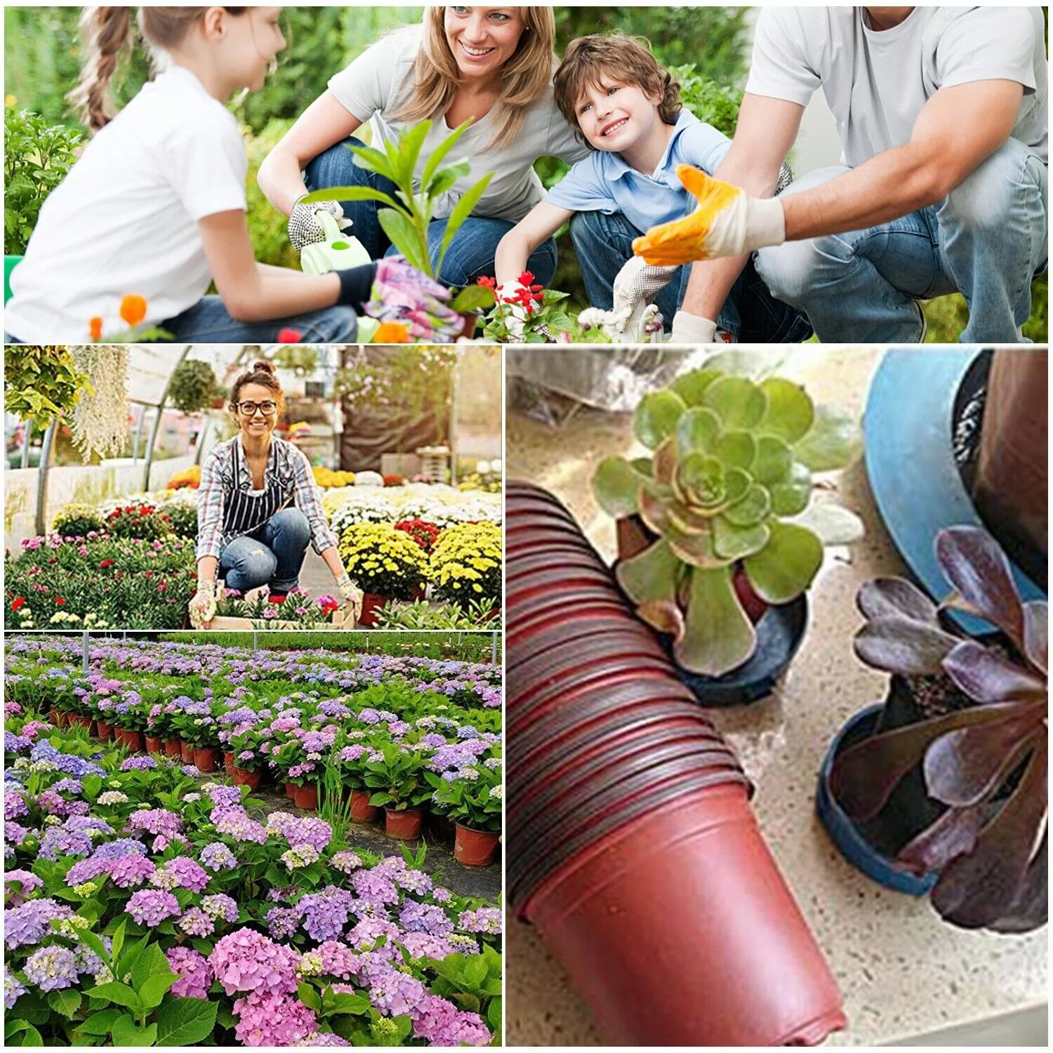 100 Plastic Plant Flower Pot 3.5