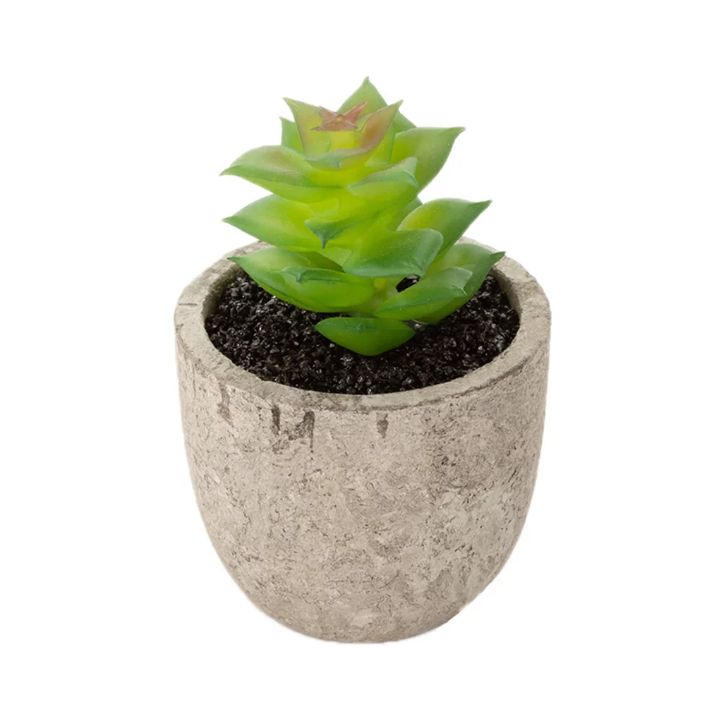Gongxipen 6Pcs Creative Microscapes Pulp Basins Simulation Succulent Plants Pots for Restaurant Cafe Living Room