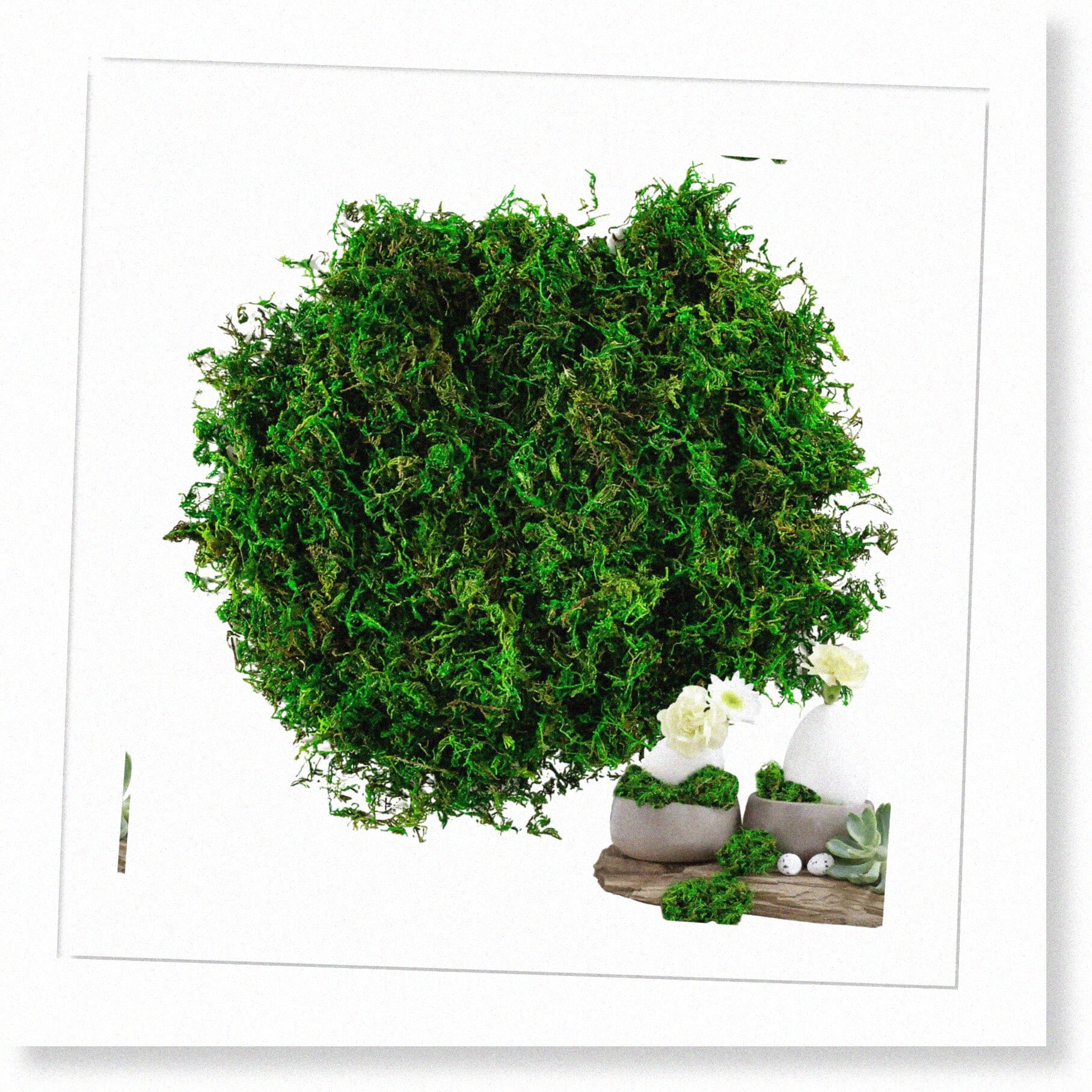 Enchanted Moss: Artificial Green Filler for Fairy Gardens, Potted Plants, Table Centerpieces, Weddings, and Party Decor