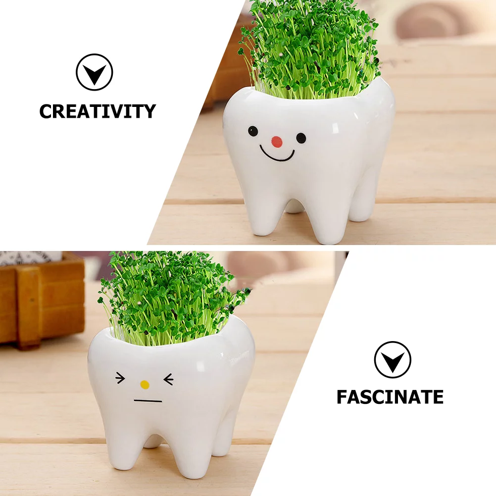 3pcs Teeth Shaped Plant Pots Small Ceramics Flowerpot Succulents Bonsai Planter Pots