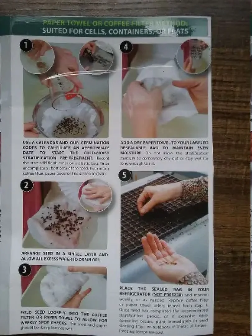 50 Perennial Prairie Smoke wildflower seeds Zone 2-9