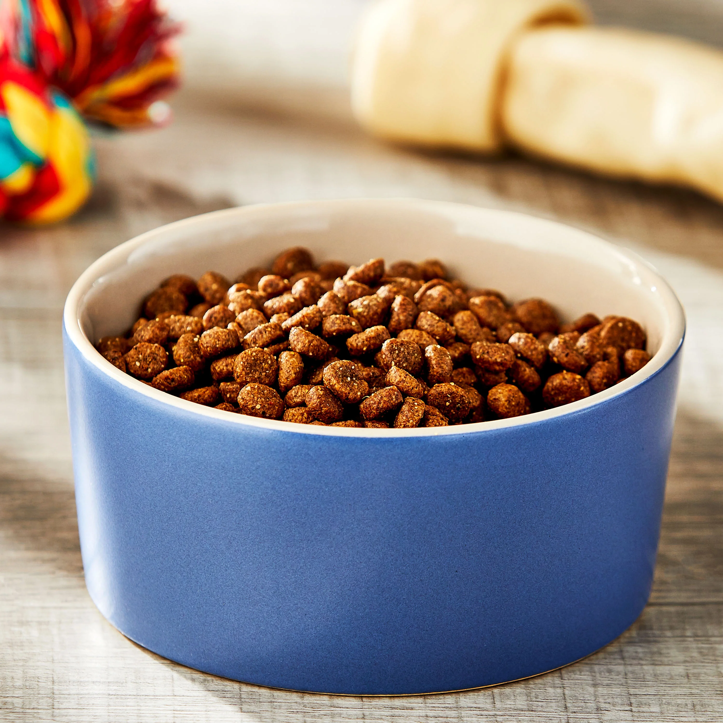 Vibrant Life Medium Two Tone Ceramic Pet Bowl, Blue and Beige, Dog