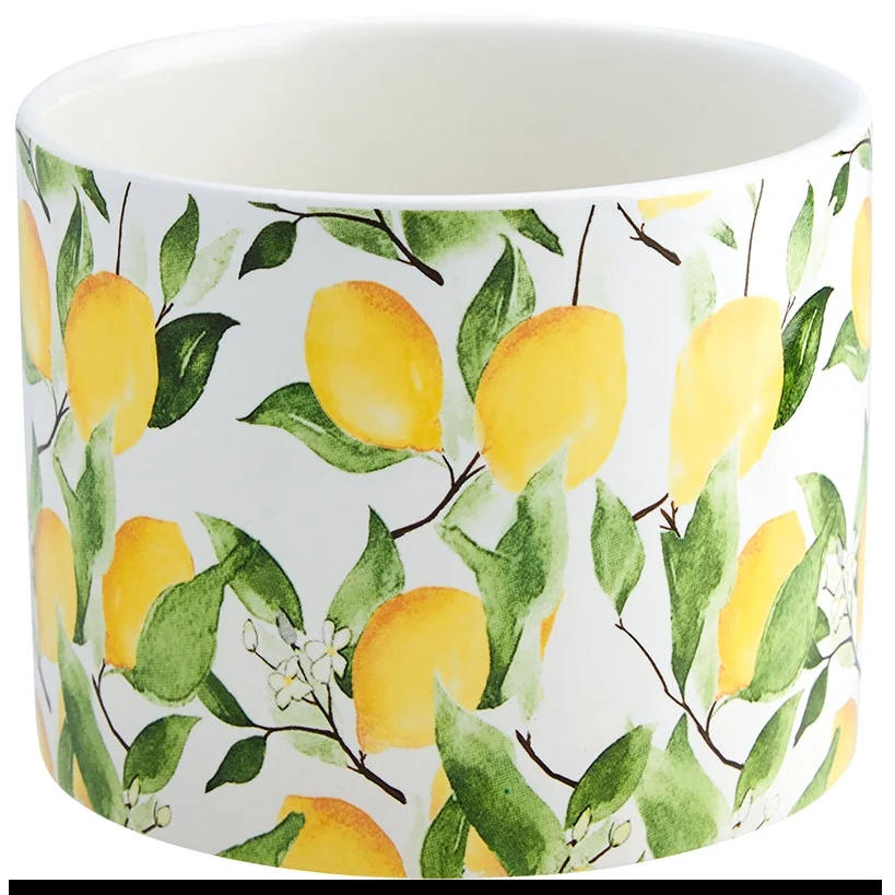 Lemon Ceramic Planter - Large