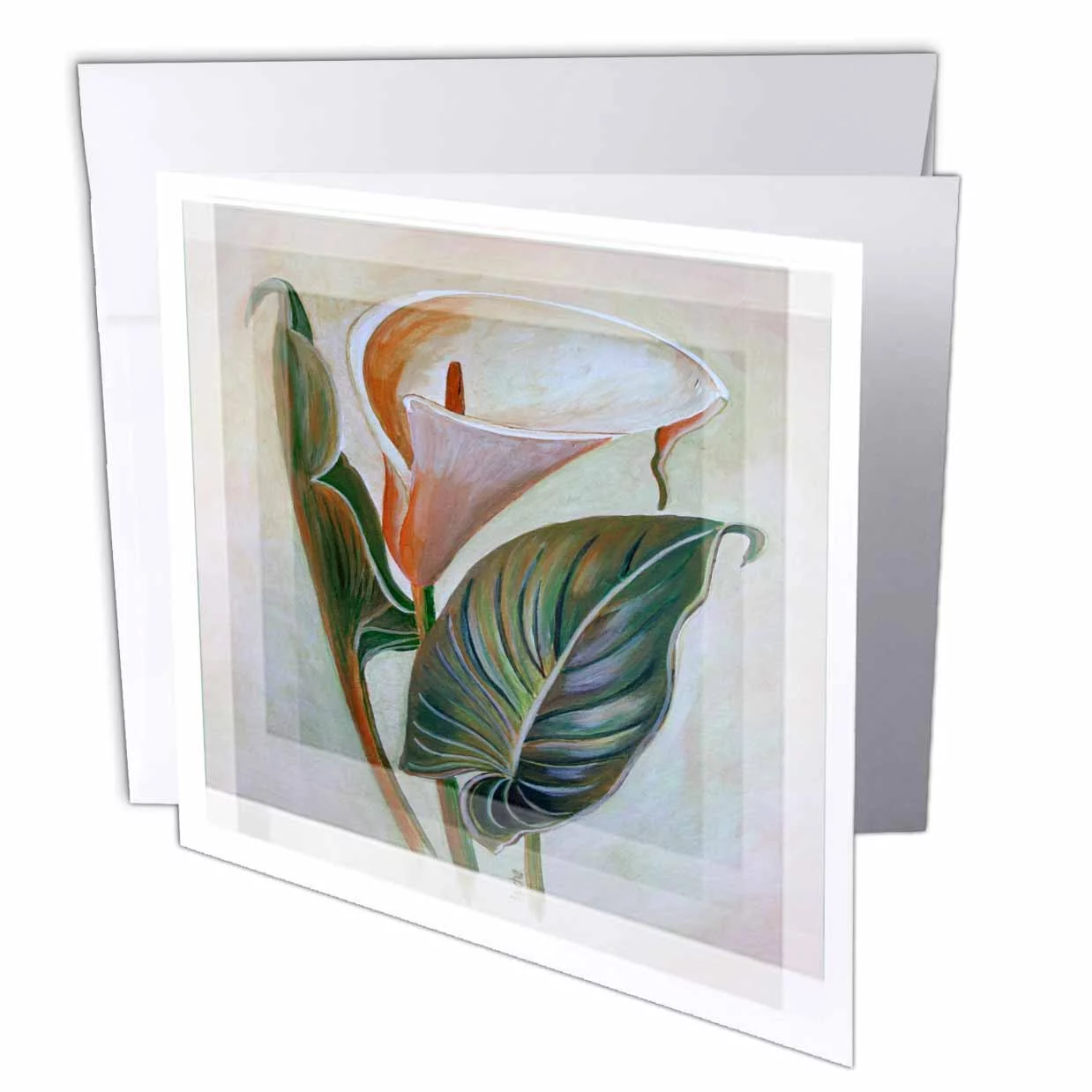 3dRose Calla Lily - lilies, lily, love, macro, pure, purity, still, sympathy, virgin, wedding, white, Greeting Cards, 6 x 6 inches, set of 12