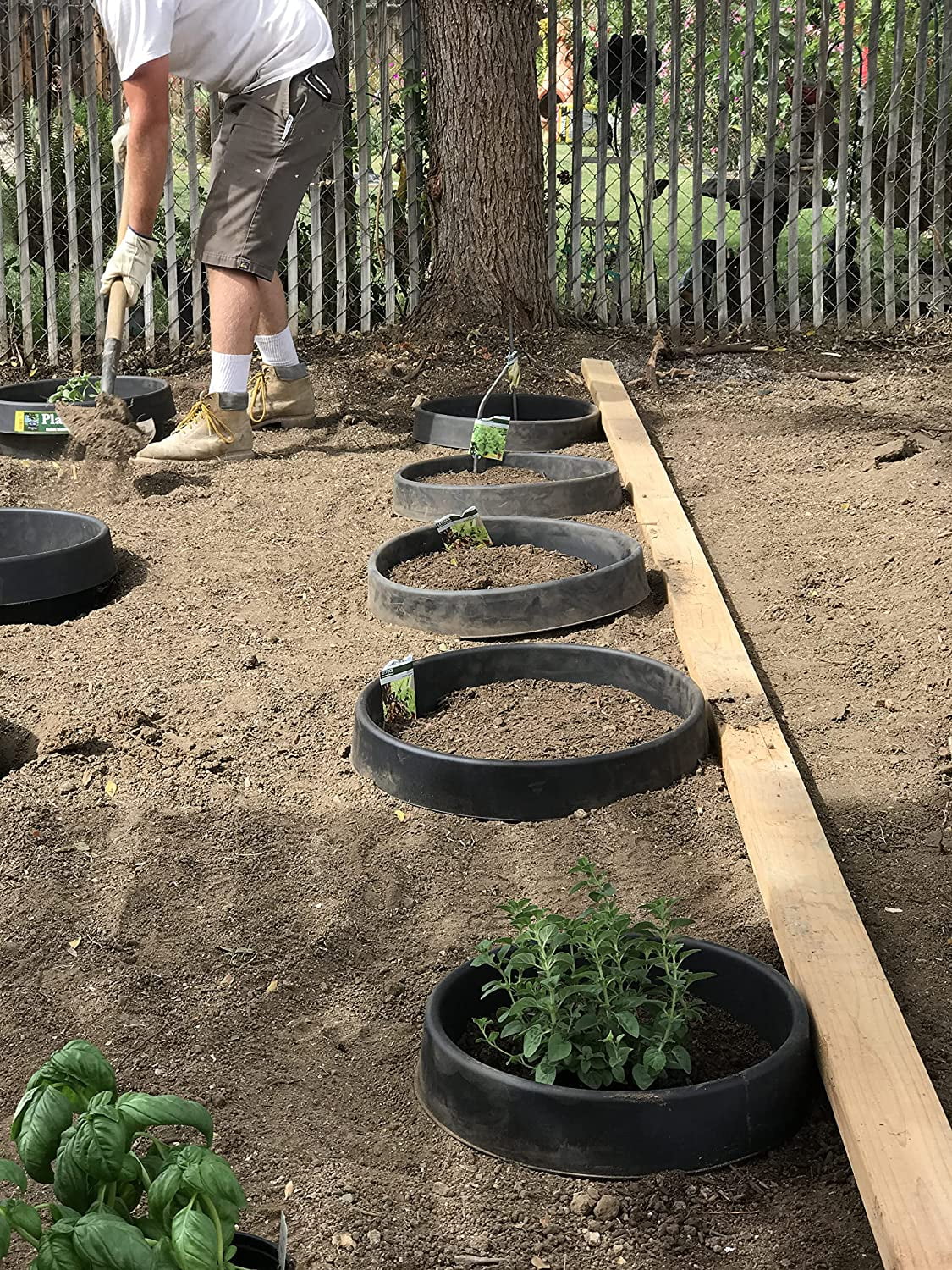 6 Pack of 16in Planting Rings. Landscape & Garden Protective, Round, Edging. Water Retention to Irrigate Shrubs, Roses, Flowers, Vegetables. Separate Rock, Mulch, Grass. Made in USA