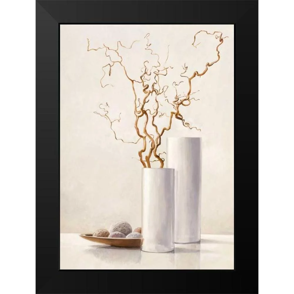 van der Valk, Karin 11x14 Black Modern Framed Museum Art Print Titled - Willow Twigs II