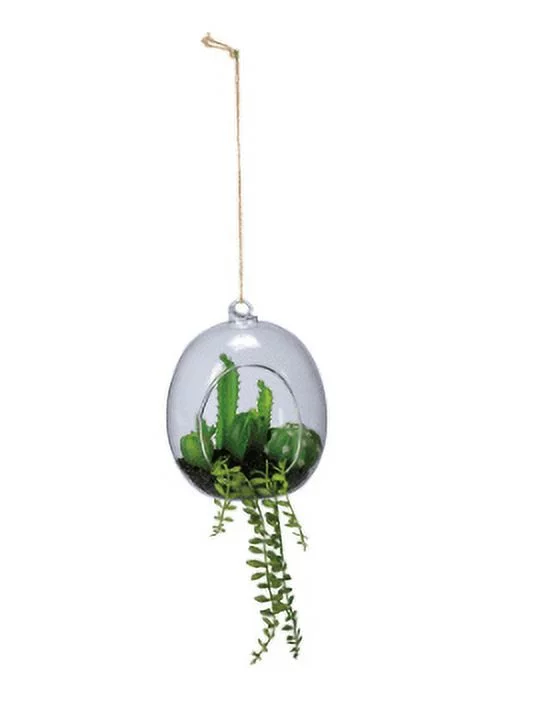 Cacti - Oval Planter