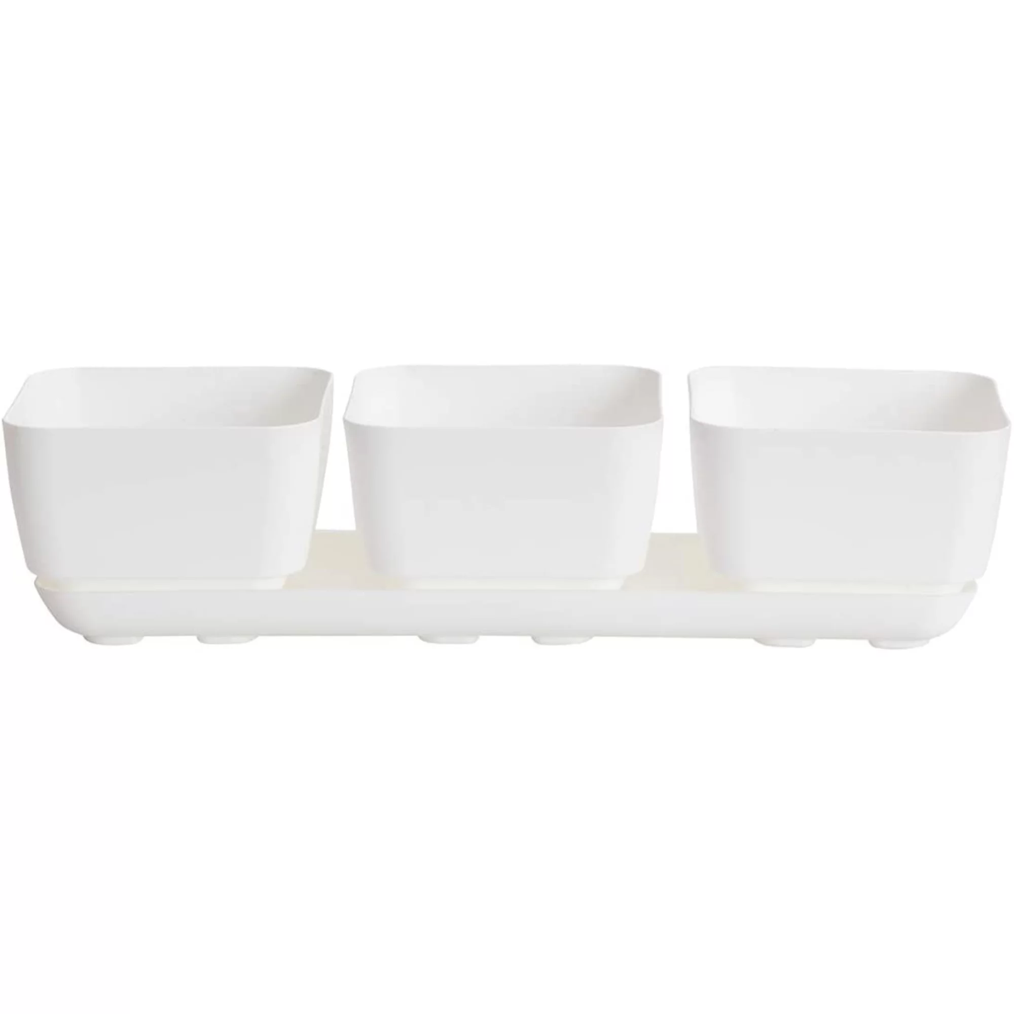 Novelty Herb & Succulent Trio Planter/Plastic Flower Pot, White, 12
