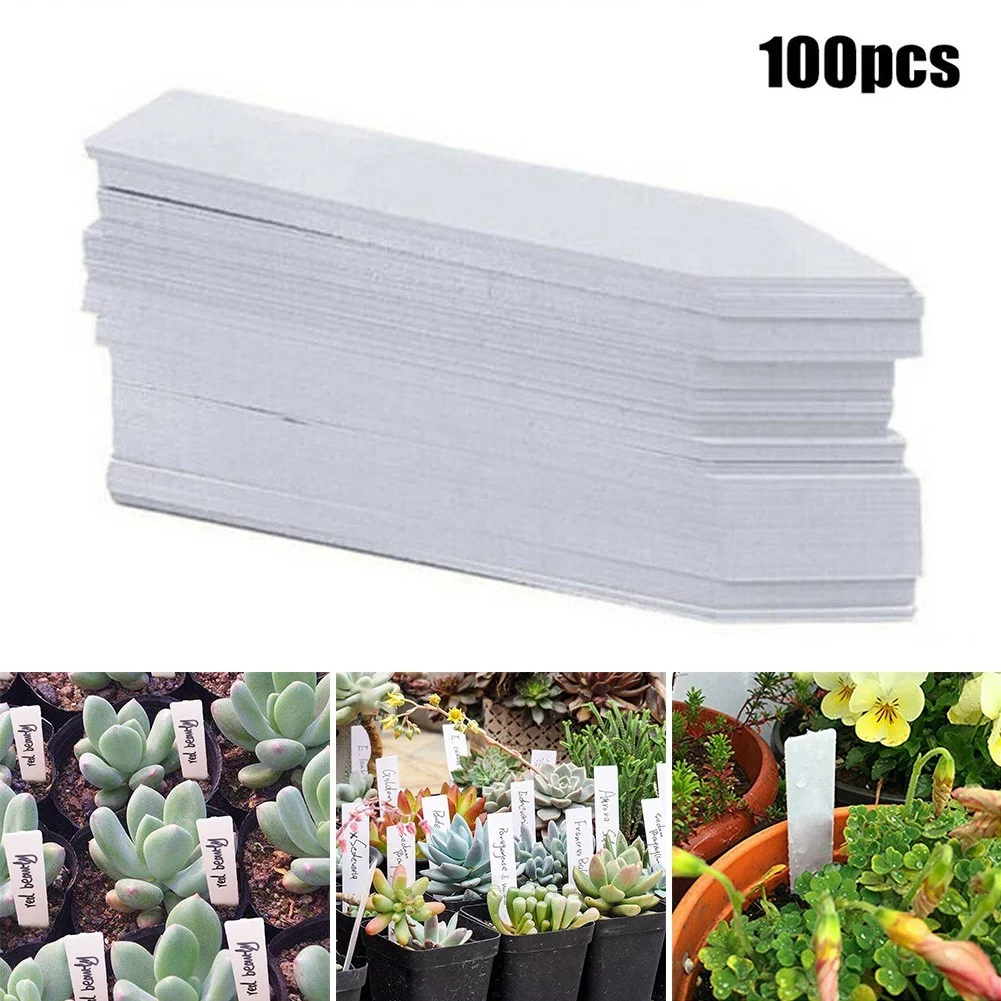 Yannee 200 Pcs Plastic Plant Labels,Waterproof Plant Tags and Labels for Seedlings, Plant Name Markers for Indoor Plants&Pots, Nursery Garden Plant Identification Stakes,White