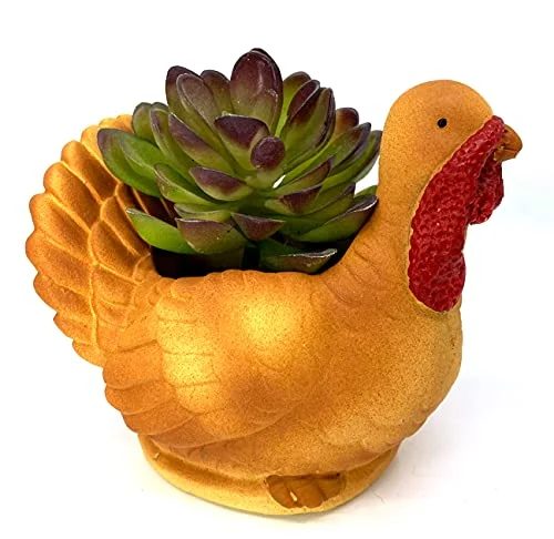 Turkey Succulant Planter Pot - Small Brown Small 4inch