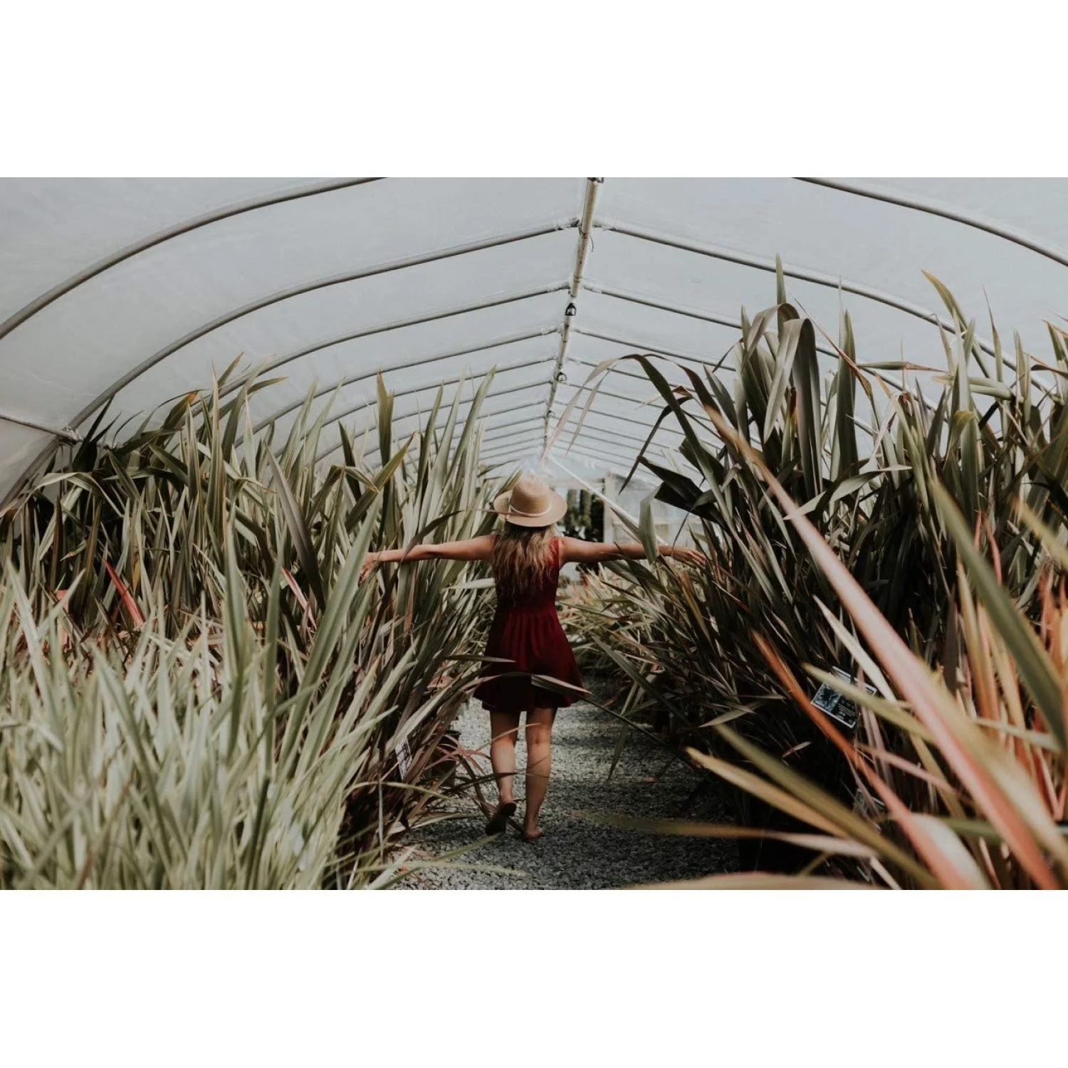 LPFEP 1554300 Long Handle Round Point Shovel