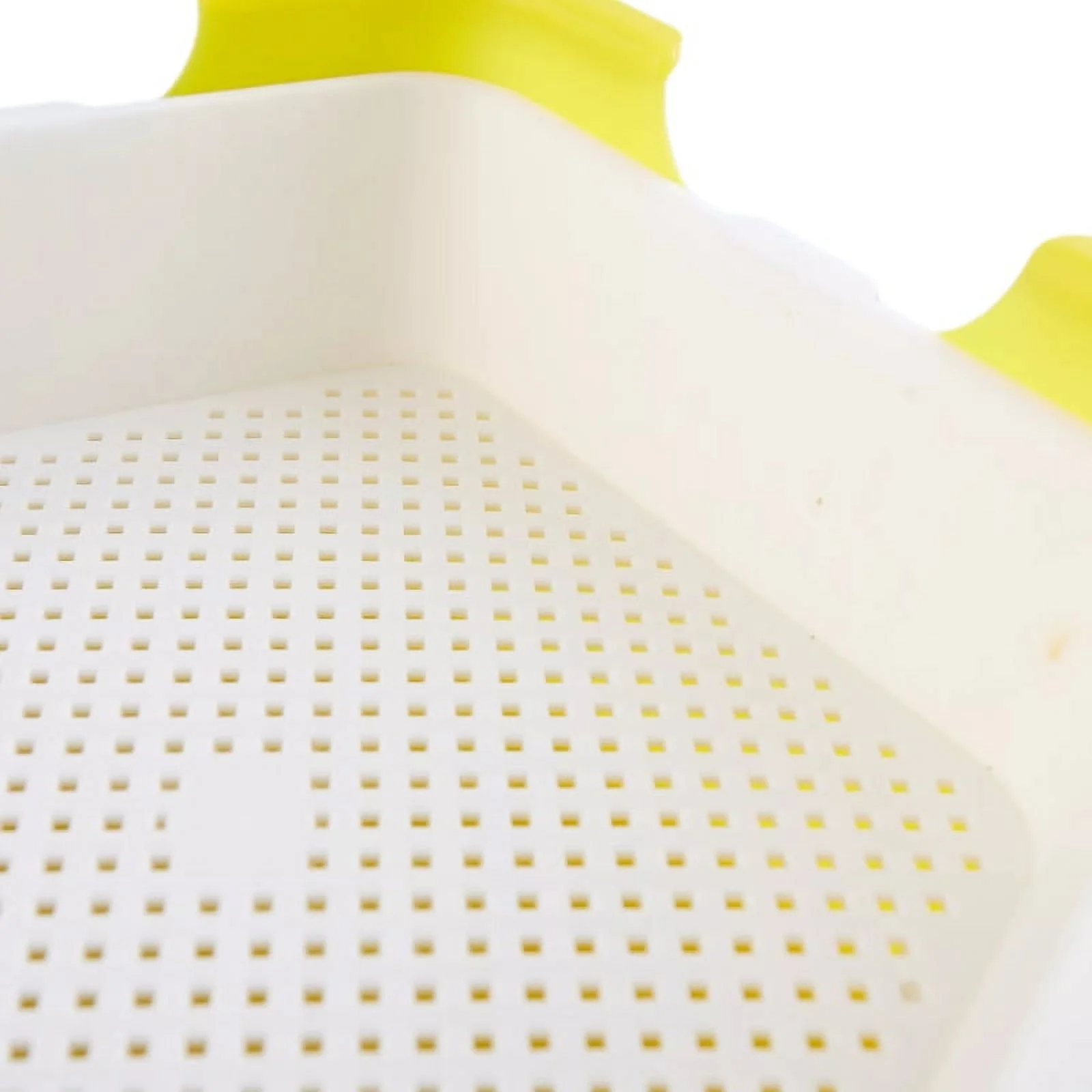 Sprout Planting Pot Bean Sprouter Seedling Tray Wheat Grass Growing Germination