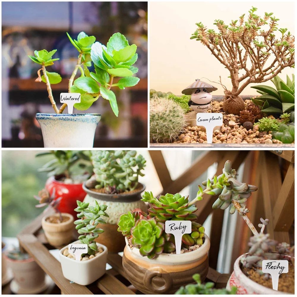 Gardening Gadget,Soil Block Maker And 50-piece Reusable Tool With Dibbles Soil Tool With 2-inch Soil Block With Dibbles Dibbers Handheld Soil Blocker Dibbles Dibbers And Dibbers And 50-piece