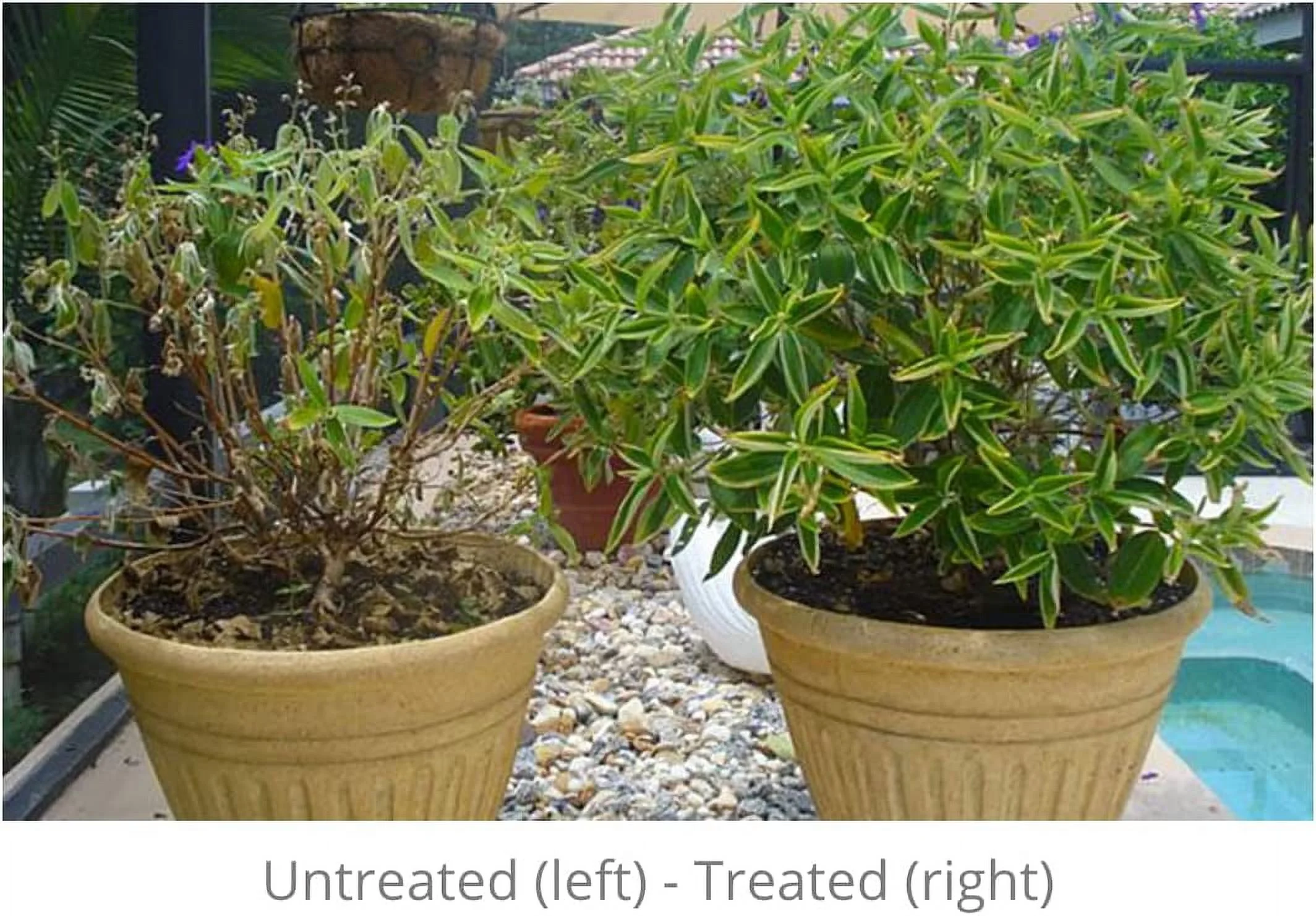 Hydretain Root Zone Moisture Manager 2 Quarts with HoseEnd Sprayer