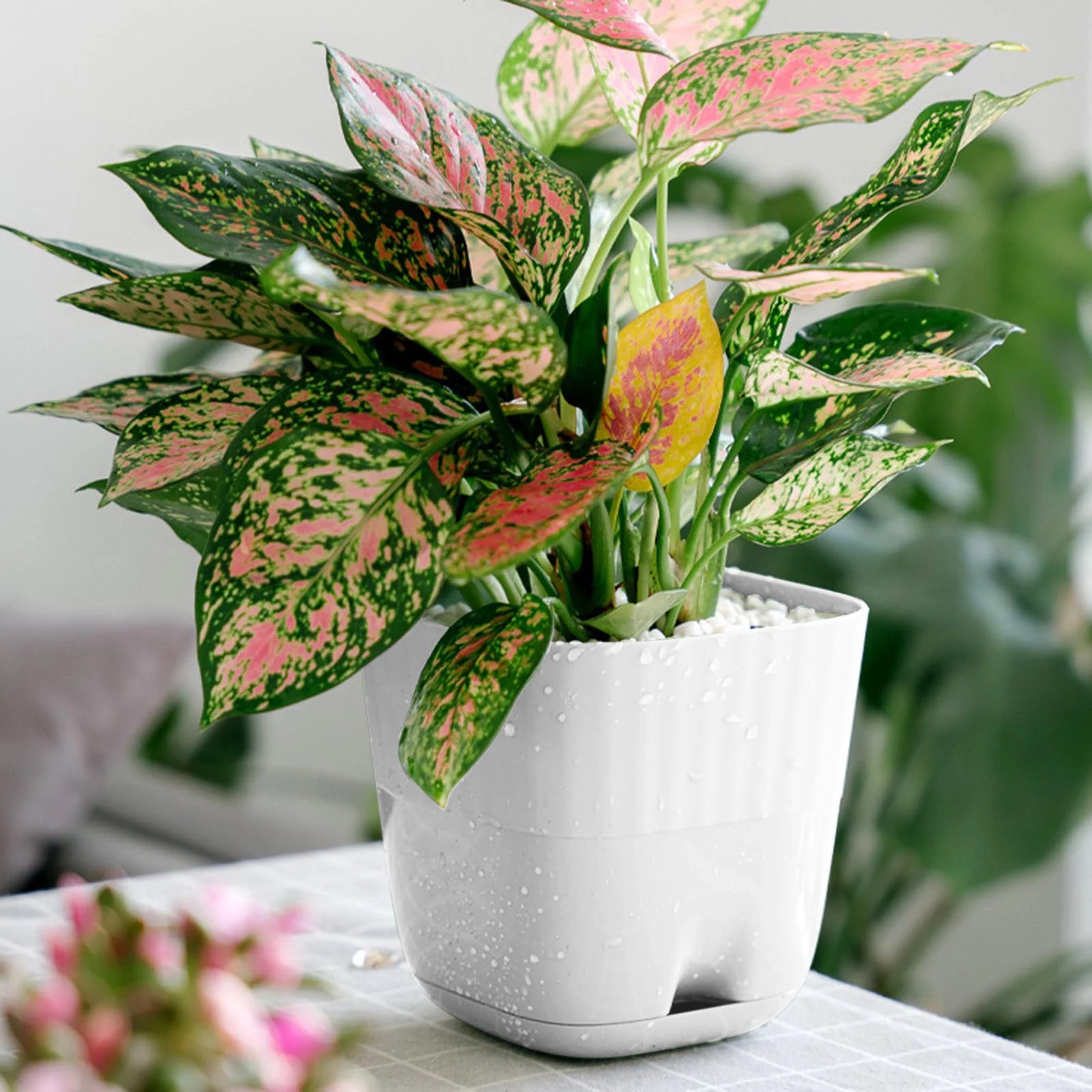 YHAIOGS Plants Flower Pots Plastic Planters with Multiple Holes and Trays Pots for indoor Outdoor Plants Flower Succulent Modern Home office Decor