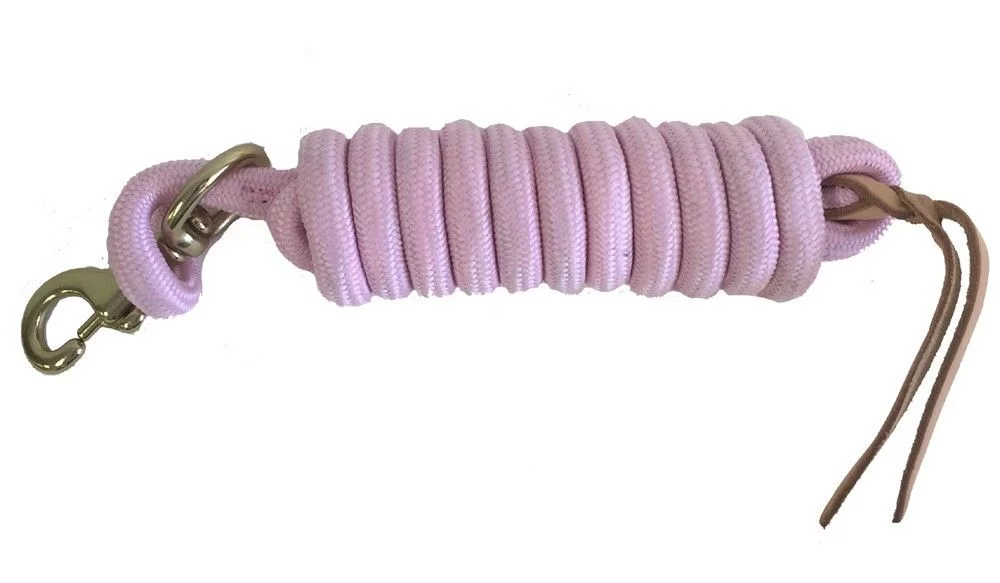 AJ Tack 9 Foot Nylon Lead Rope with Leather Popper Purple