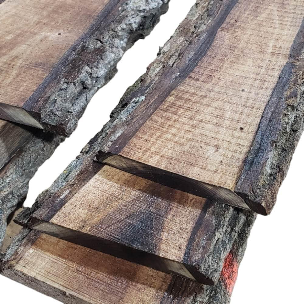 2ft Long Sapwood One Side Walnut Live Edge Slab (Width:7-8 Inches Wide;)