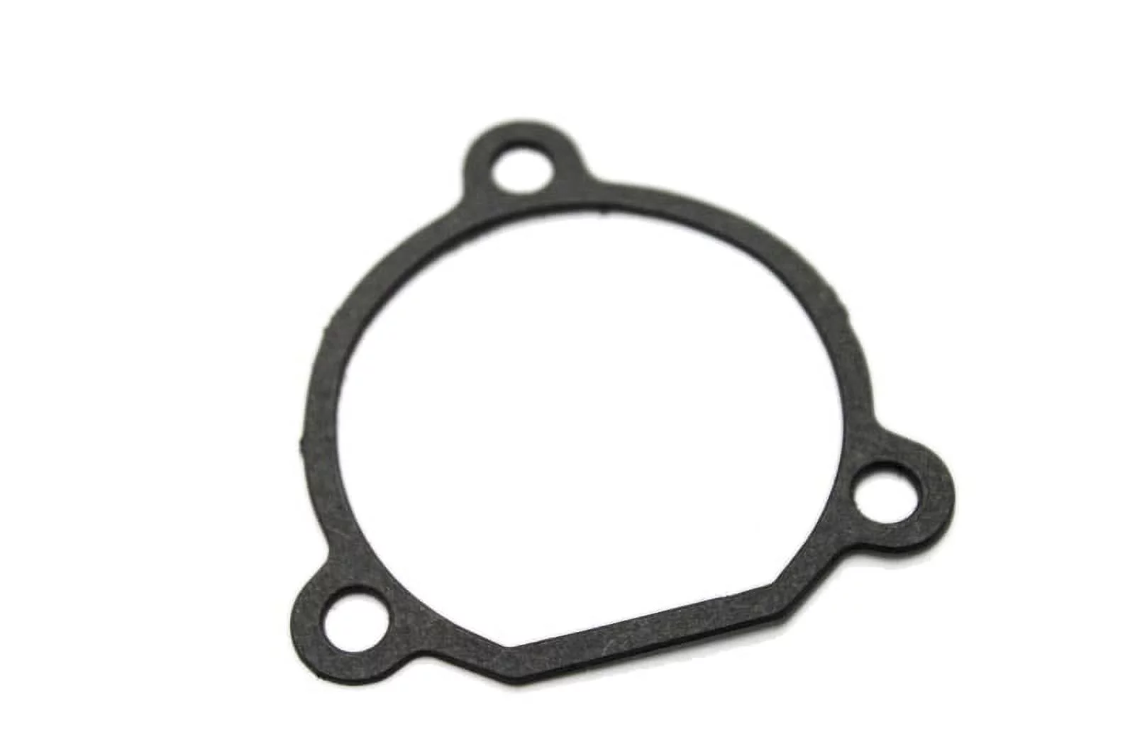 Homelite 00946 GASKET, HT17,19,21,22 00946, HOM-00946