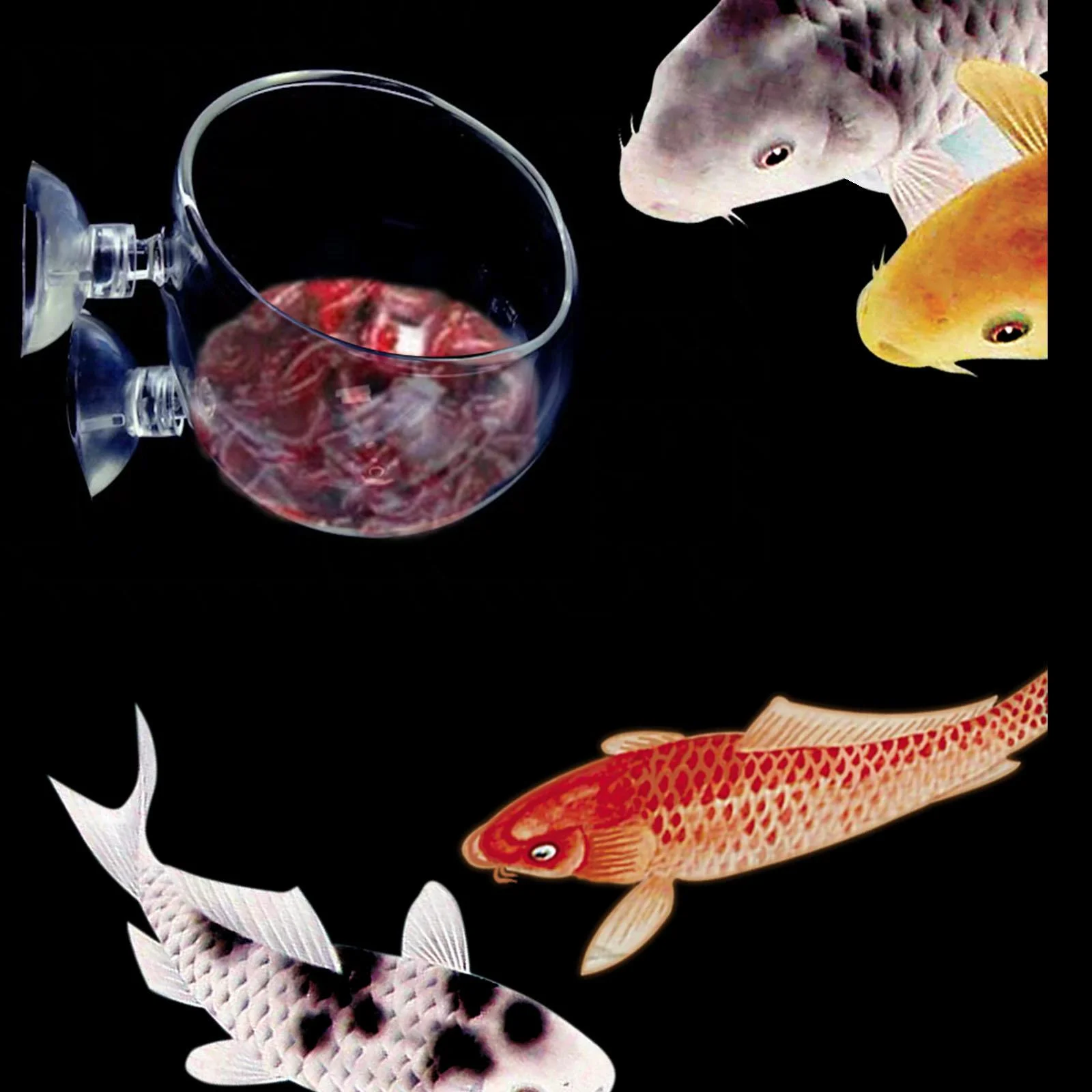 oshhnii Aquarium Plant Cup with Suction Cups Container Clear Tiny Plants Cultivation Pot