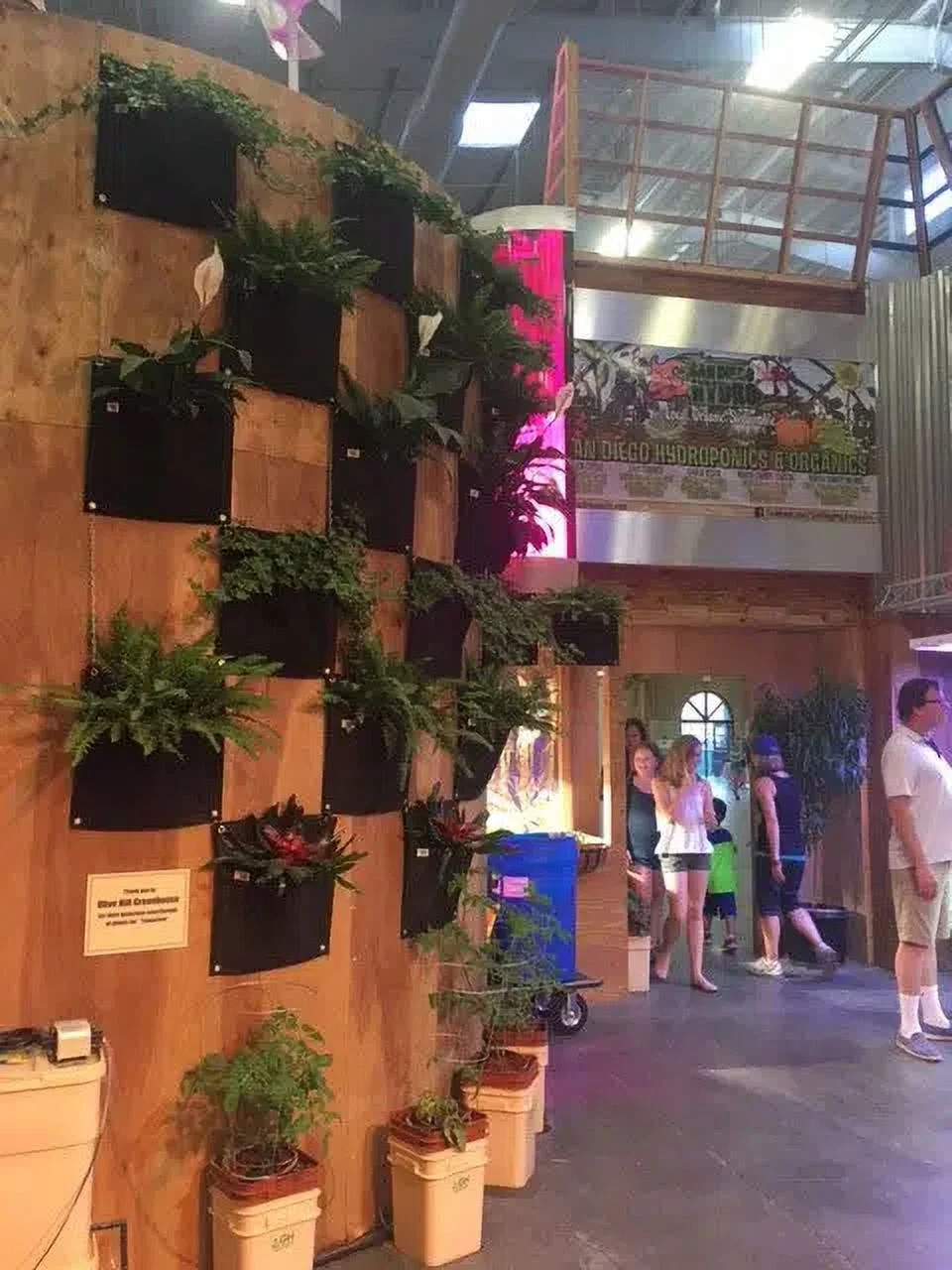 SMART POT Wall Flower