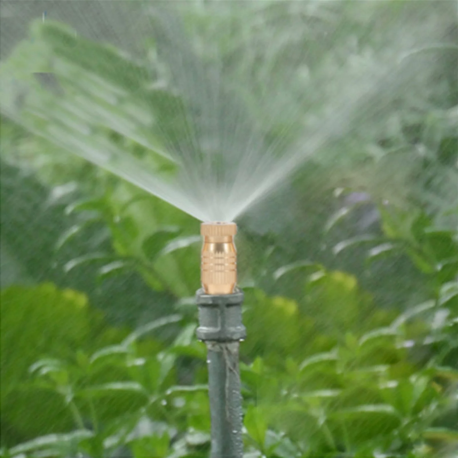 Blantye 10Pcs Threaded Brass Fog Mist Nozzles Misting Fogging Spray Sprinkler Head