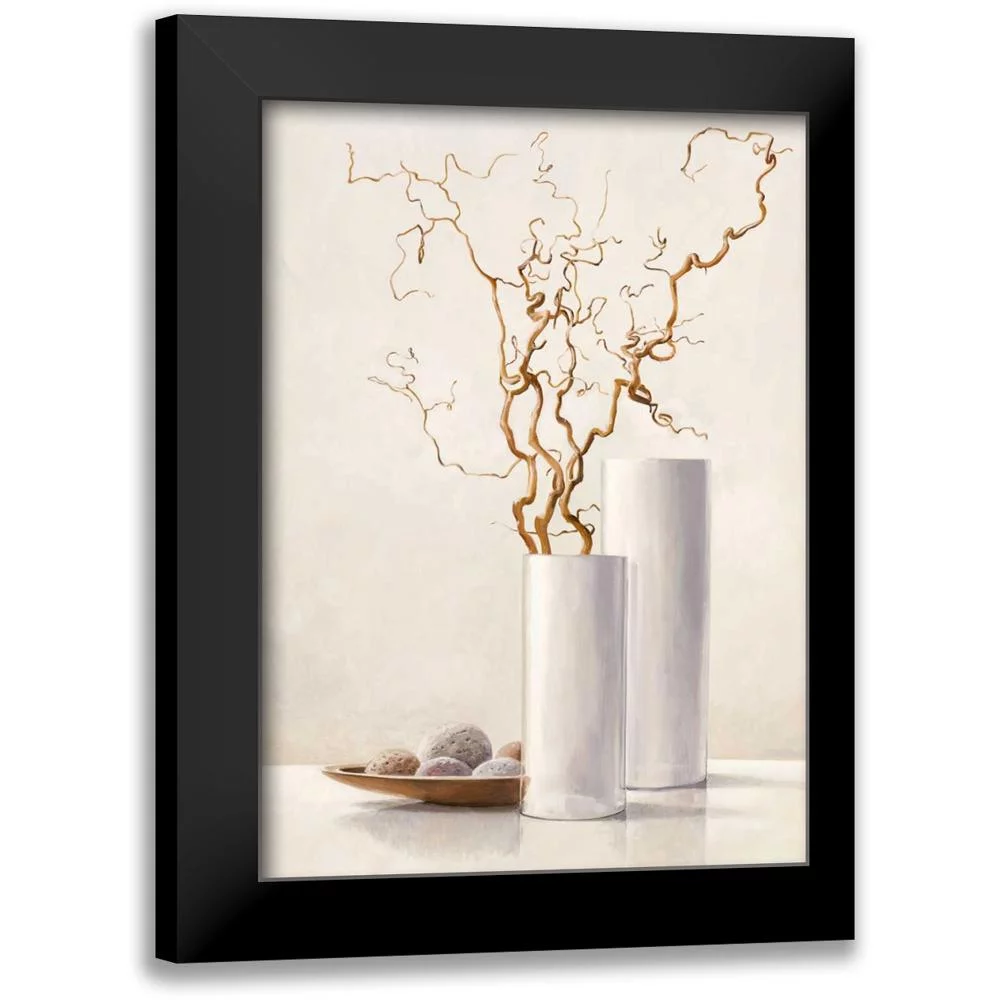 van der Valk, Karin 11x14 Black Modern Framed Museum Art Print Titled - Willow Twigs II